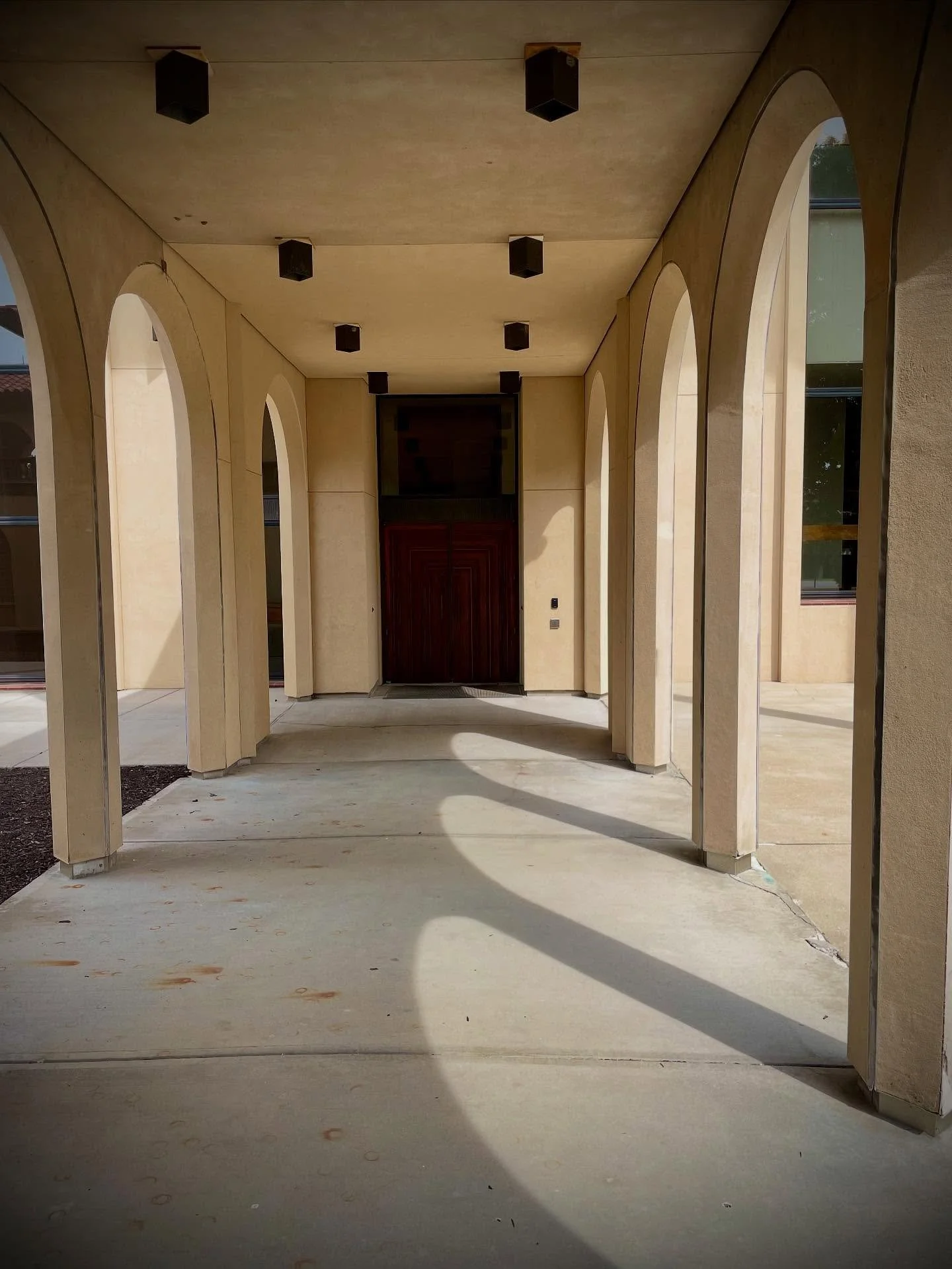 They say you should stop and smell the flowers. And I do. But do you ever stop to see the shadows? @unity.village #shadow #shadowwork #curiosity #wondering #wonder #slowdown