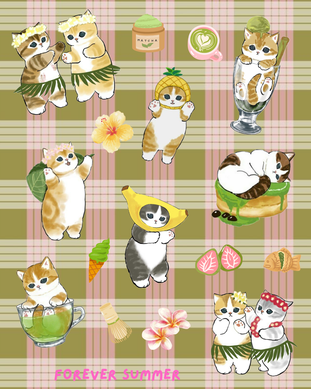 Hawai'i Matcha Cats