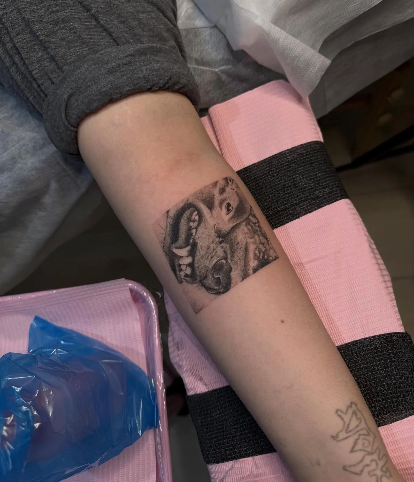 Hide and Seek 
.
.
Booking Chicago the next 3 months 
NYC March 28-April 1