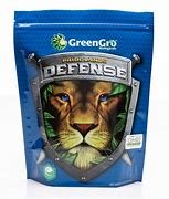 Pride Lands Defense