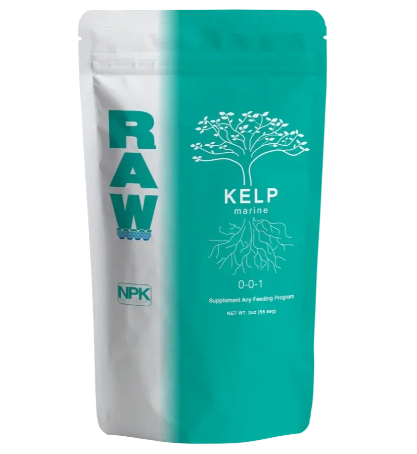 RAW Kelp