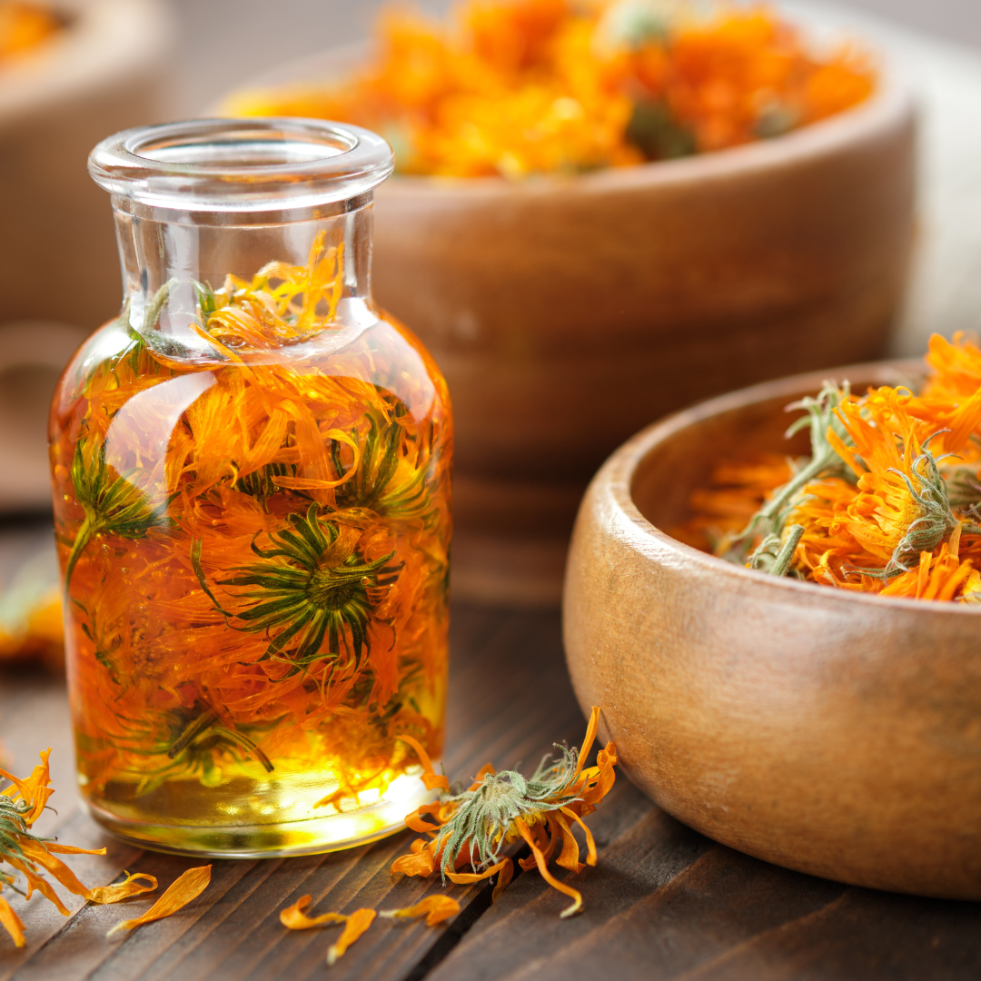 Calendula Salve