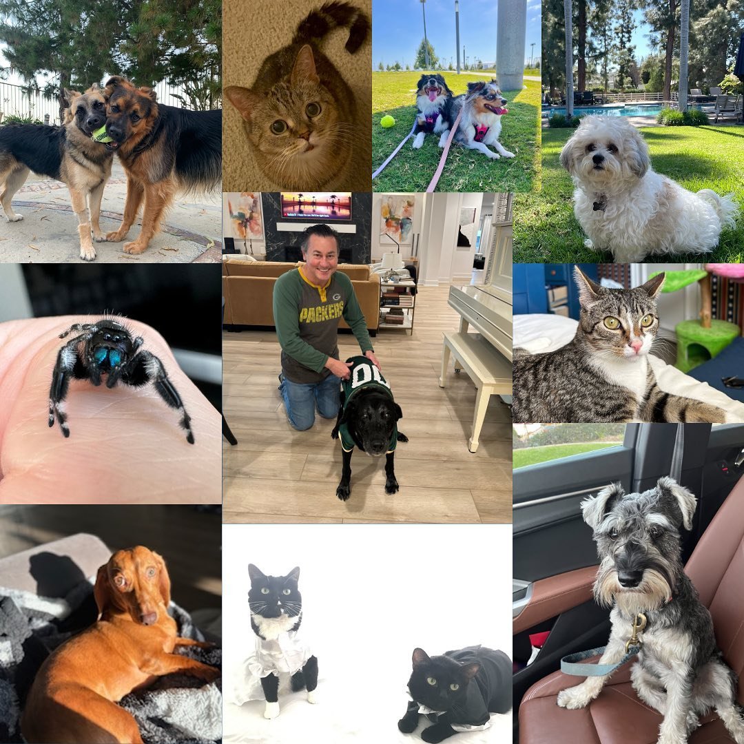 Happy National Pet Day to all of our Berger Kahn pets!