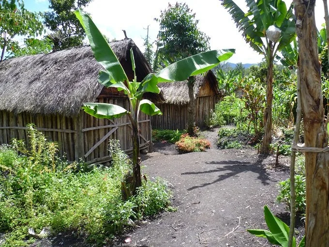 sigri-house.jpg