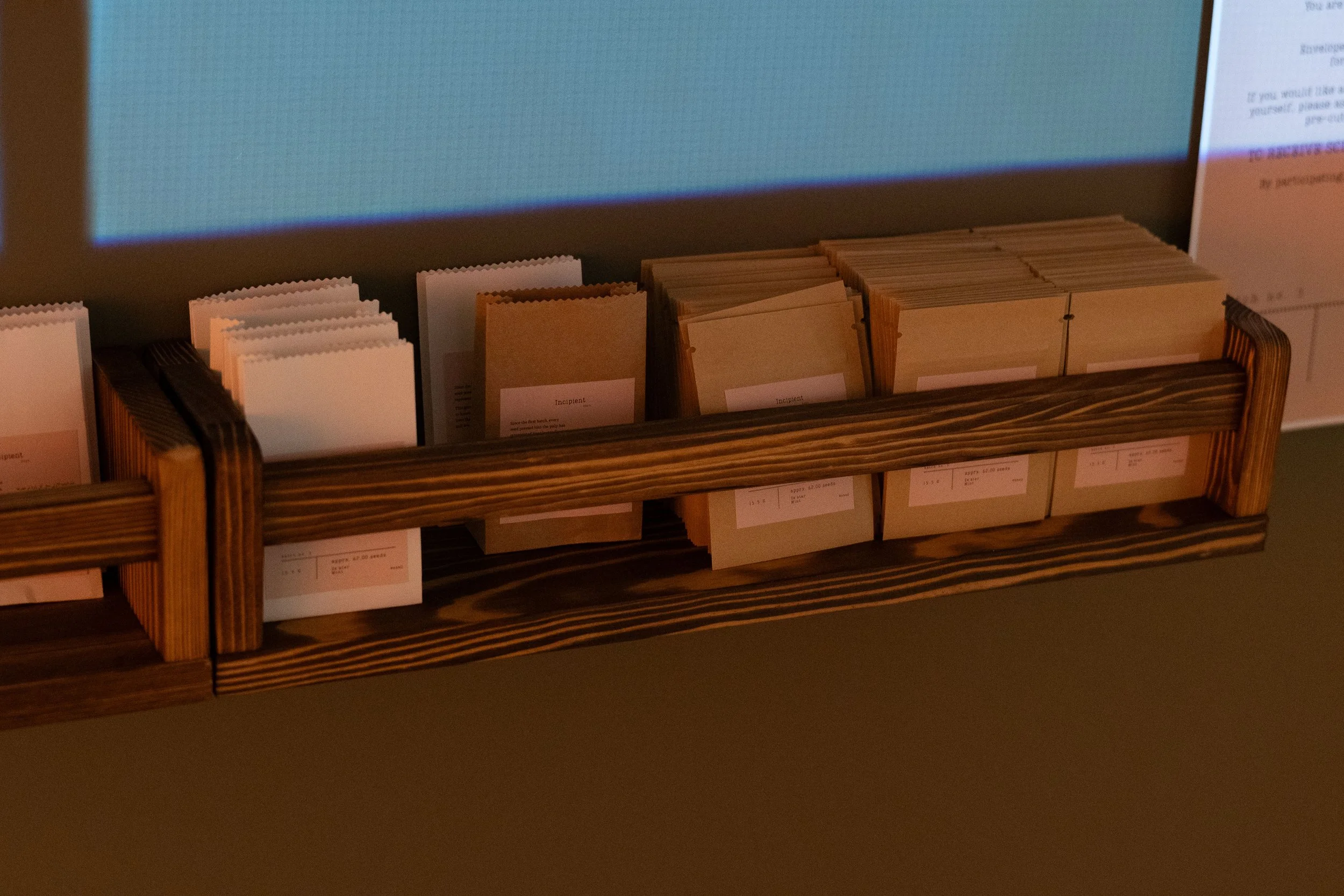 173 Being Scene Curated 20250904-HC.jpg