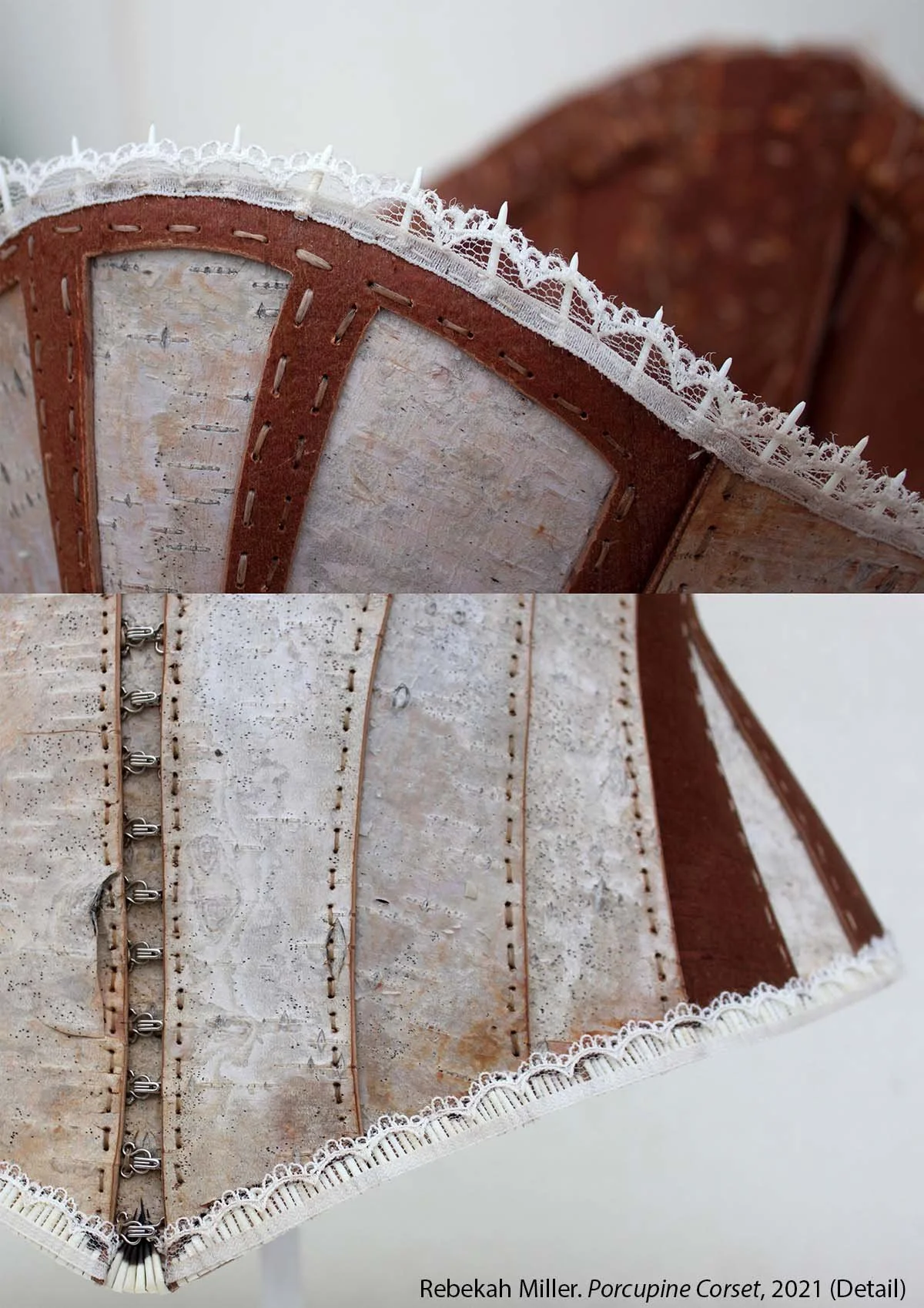 Porcupine Corset(detail)-Rebekah Miller.jpg