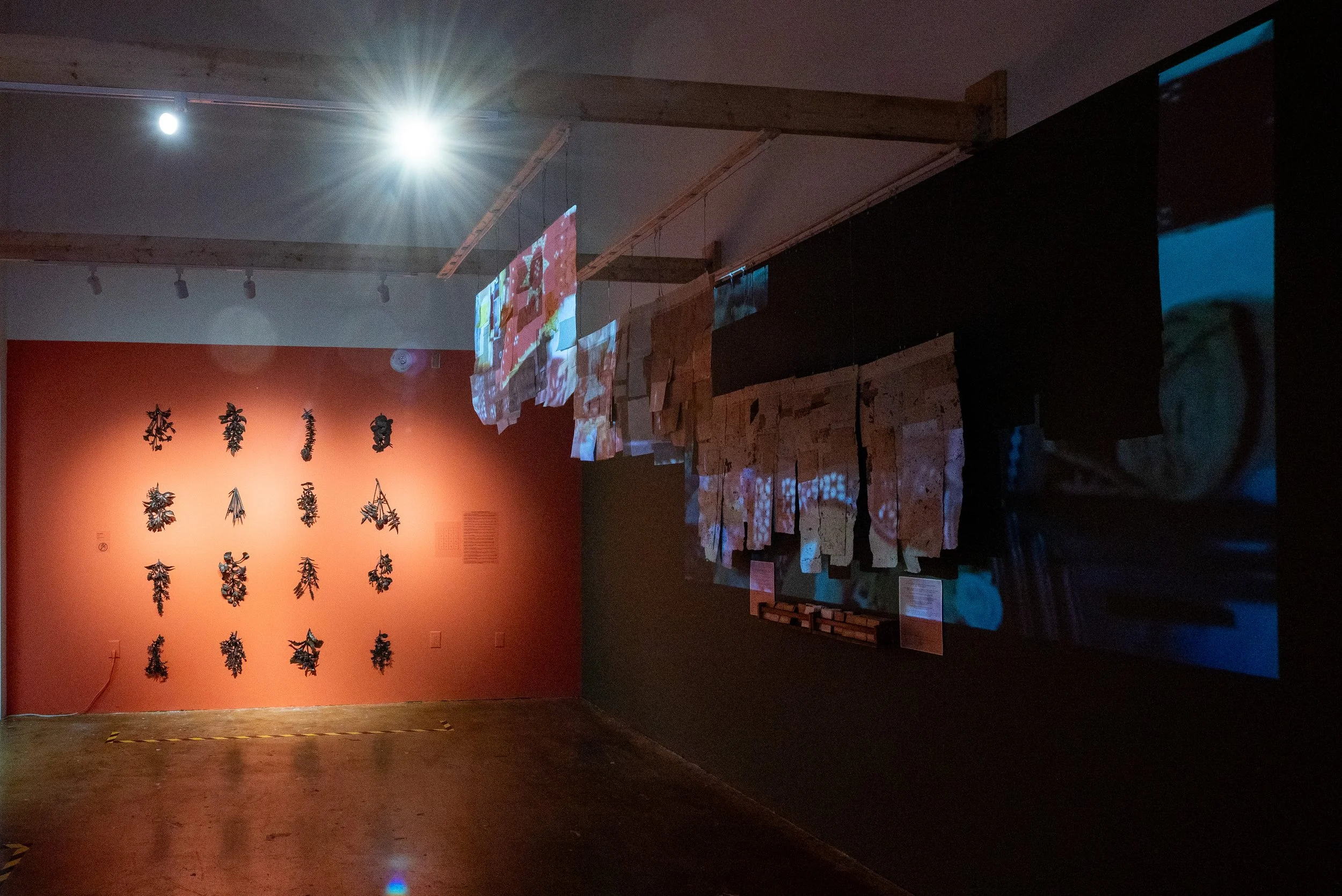 134 Being Scene Curated 20250904-HC.jpg