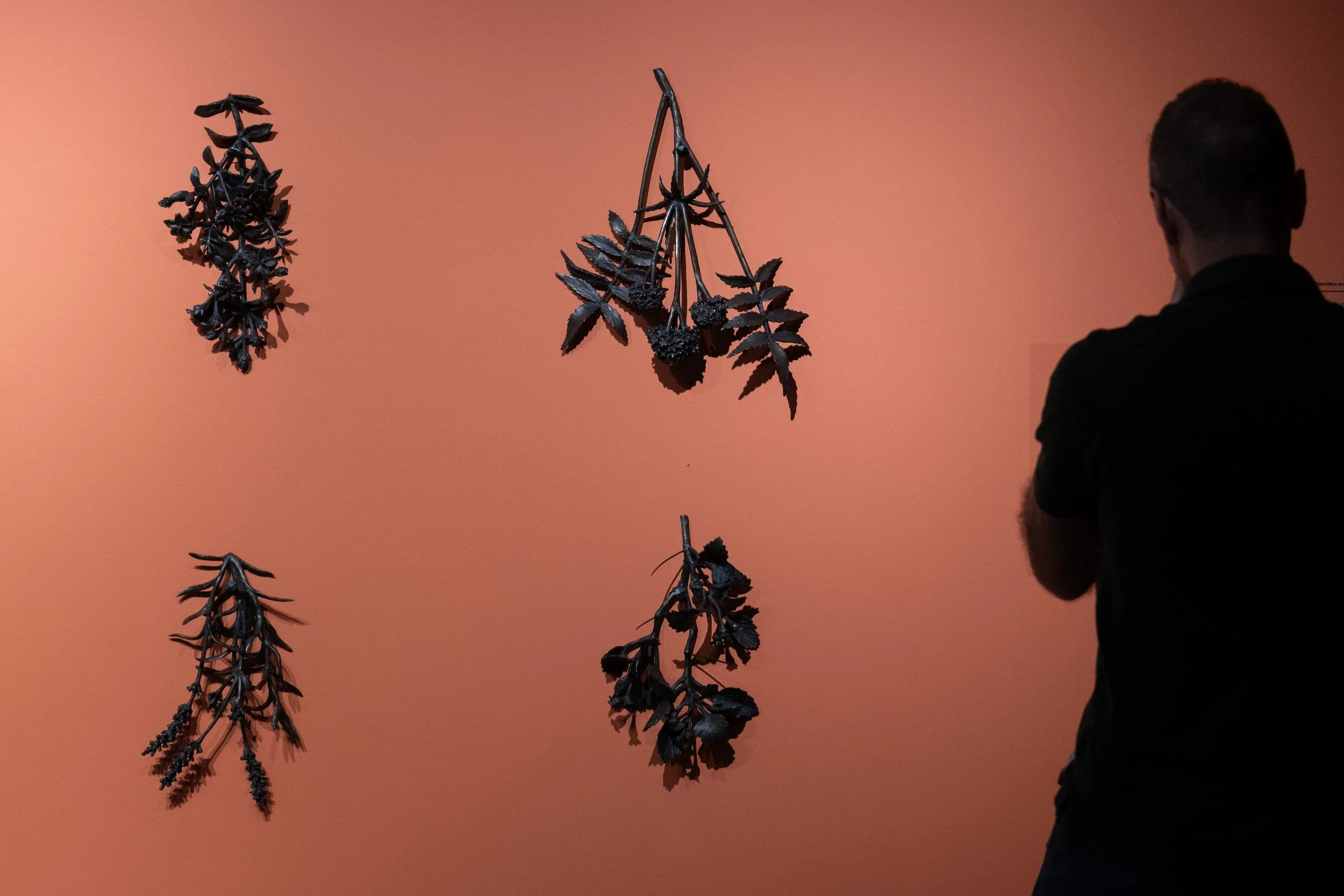 163 Being Scene Curated 20250904-HC.jpg