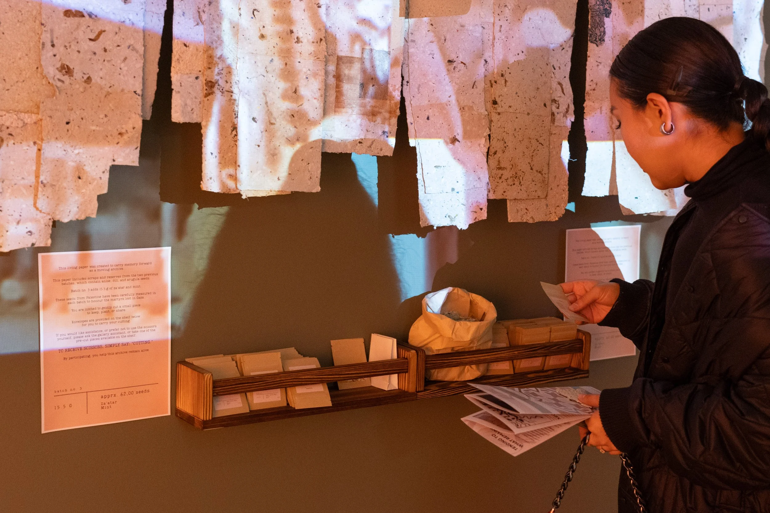 201 Being Scene Curated 20250904-HC.jpg