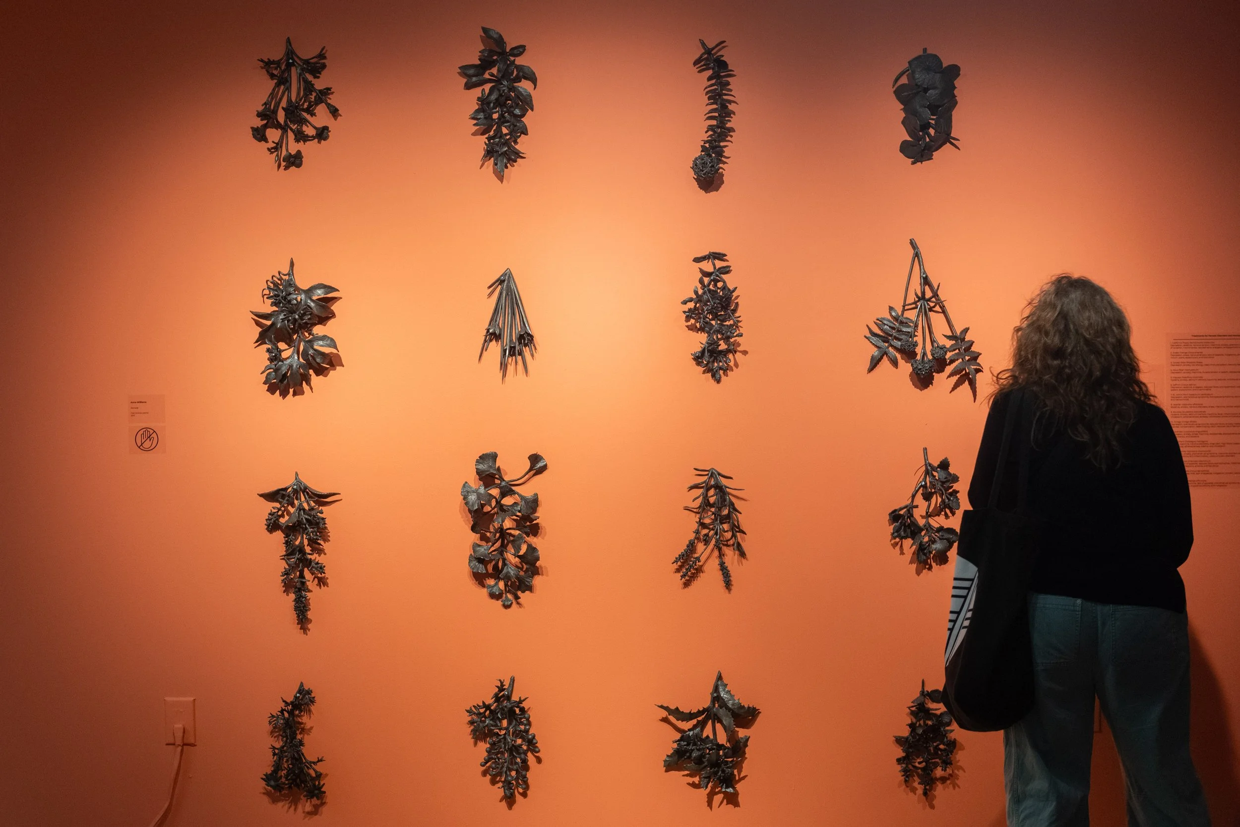 156 Being Scene Curated 20250904-HC.jpg