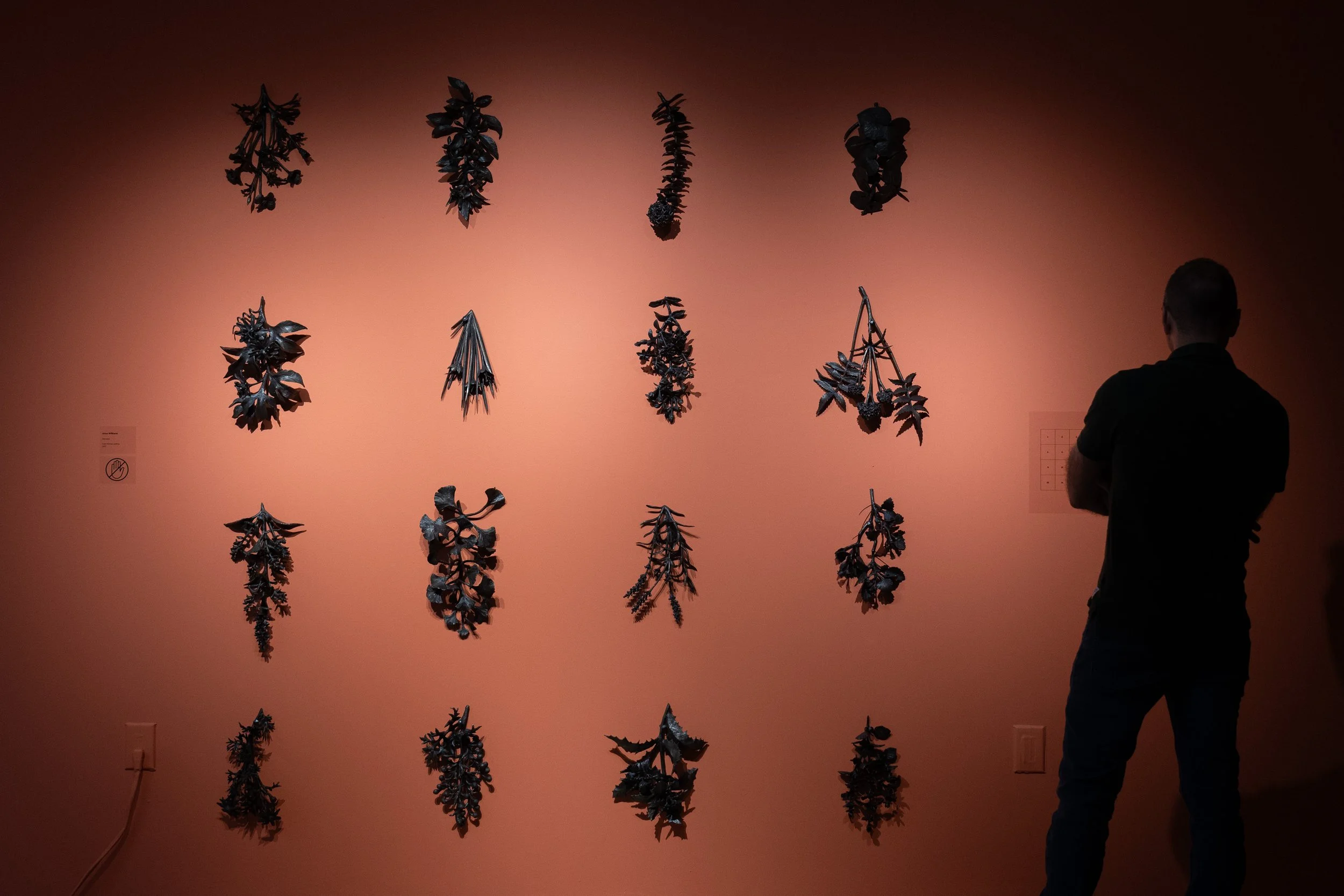 164 Being Scene Curated 20250904-HC.jpg