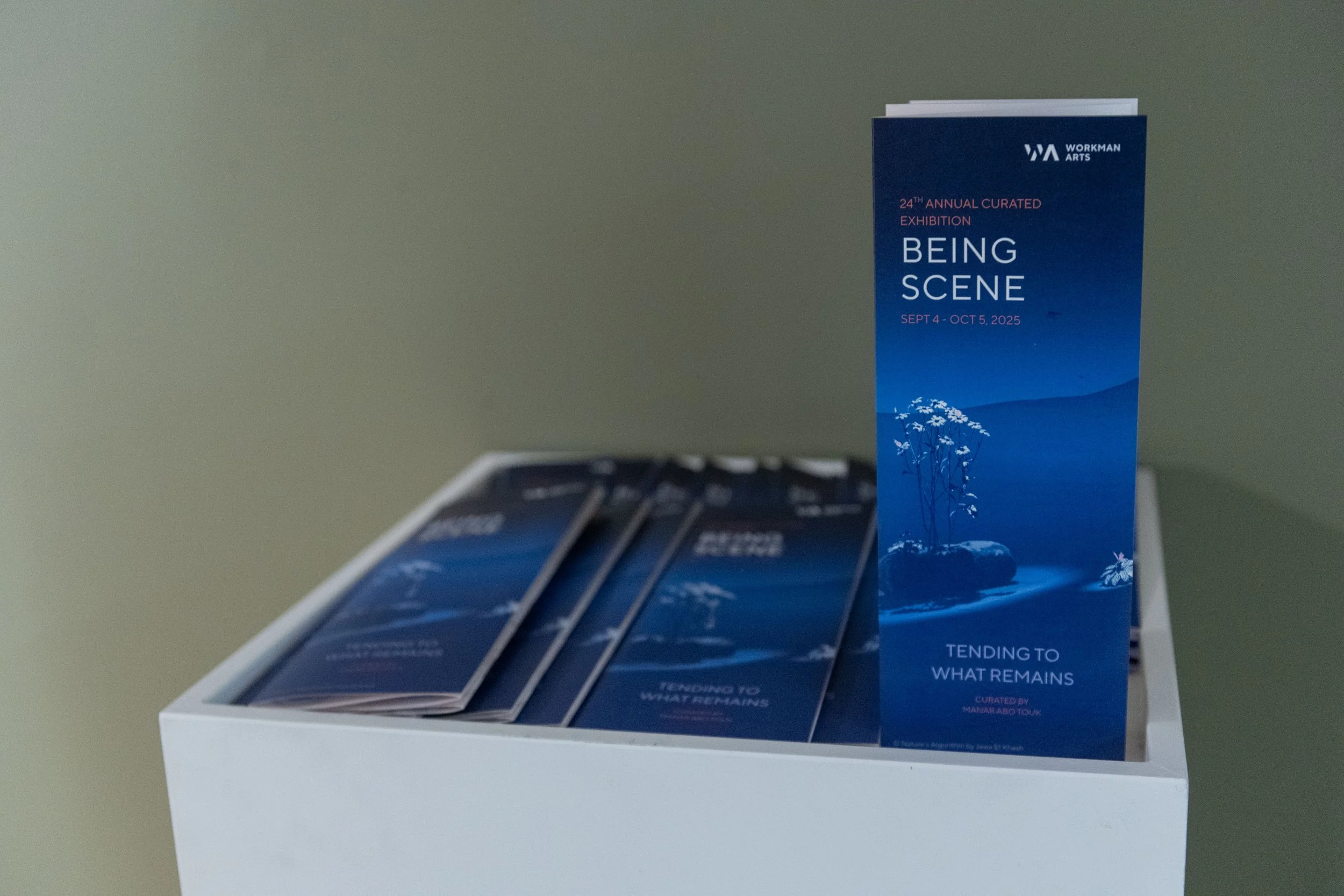 210 Being Scene Curated 20250904-HC.jpg