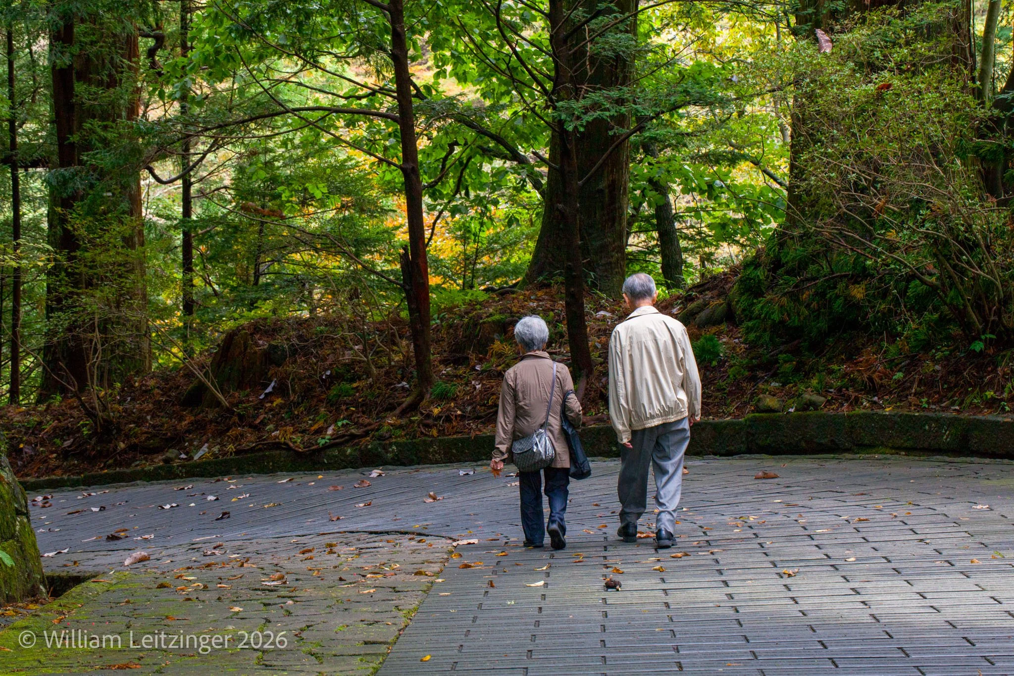 20131020-Family-Temple-Travel-Japan-Old_Couple_Walking_Down_Stone_Path-0035-(Copyright) copy.jpg