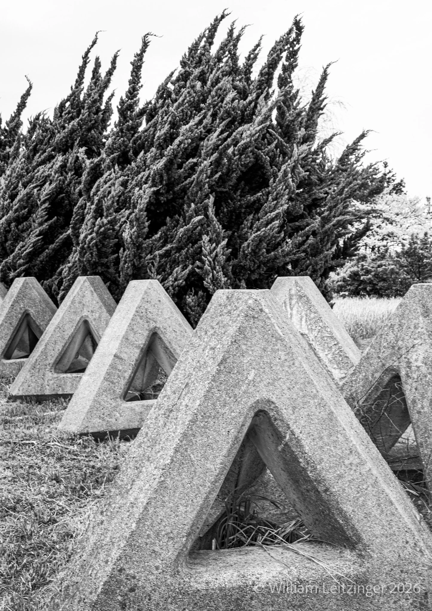 20100411-Abstract-Landscape-Japan-Concrete_Triangles_&_Fir_Trees-4653-B&W-(Copyright).jpg