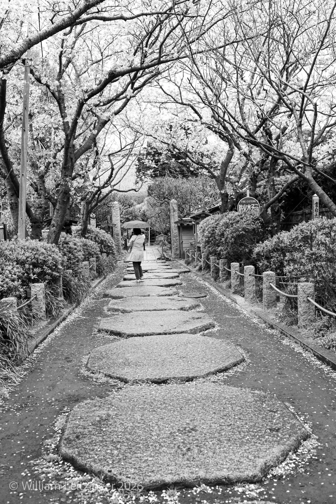 20100407_Travel-Japan-Toshiko_Leitzinger_Walking_on_Big_Pavement_Stones-01-B&W-(Copyright).jpg