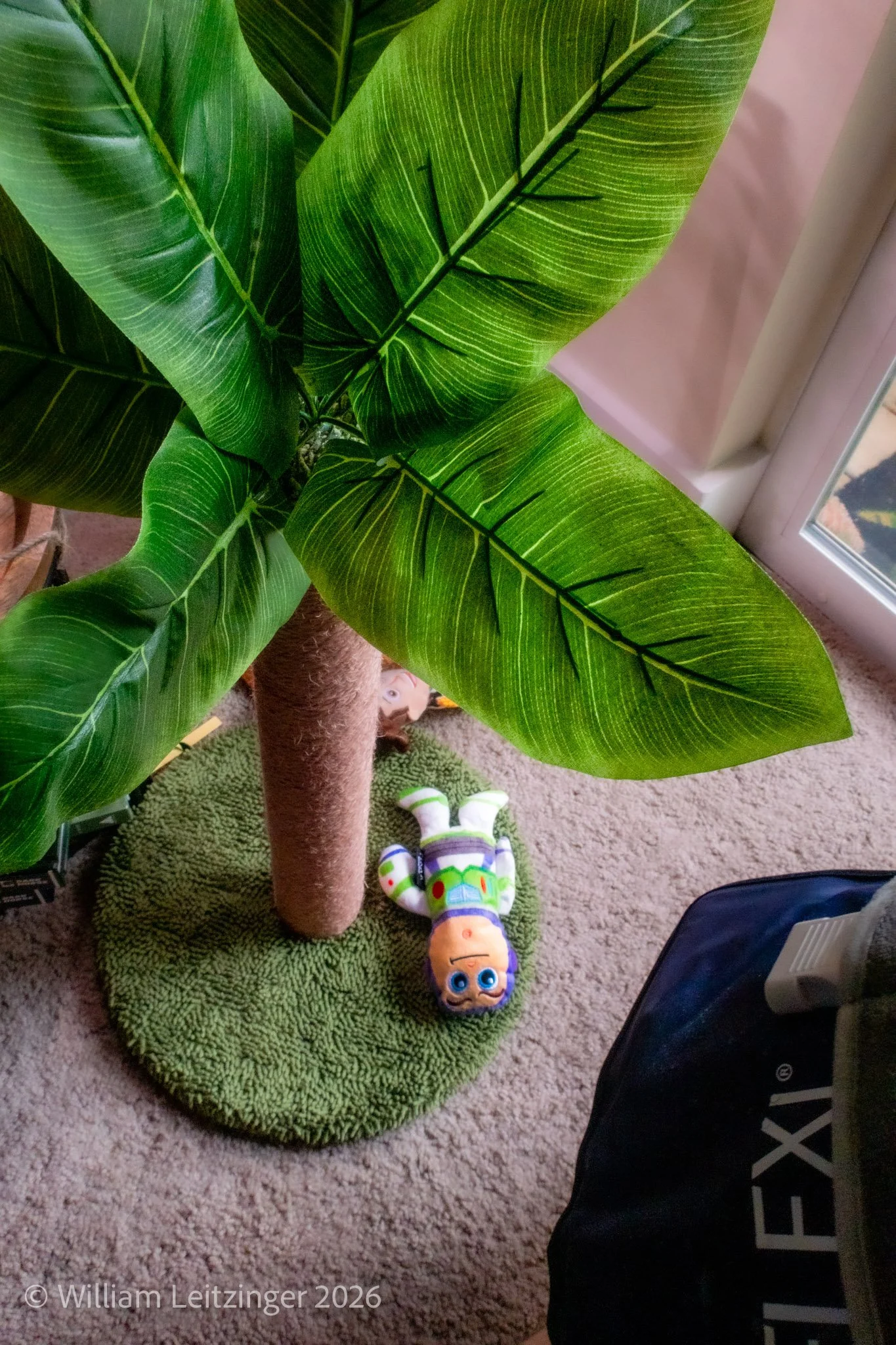 20230627-Toy-VA-Alexandria-Buzz_Lightyear_Under_House_Plant-01-(Copyright).jpg