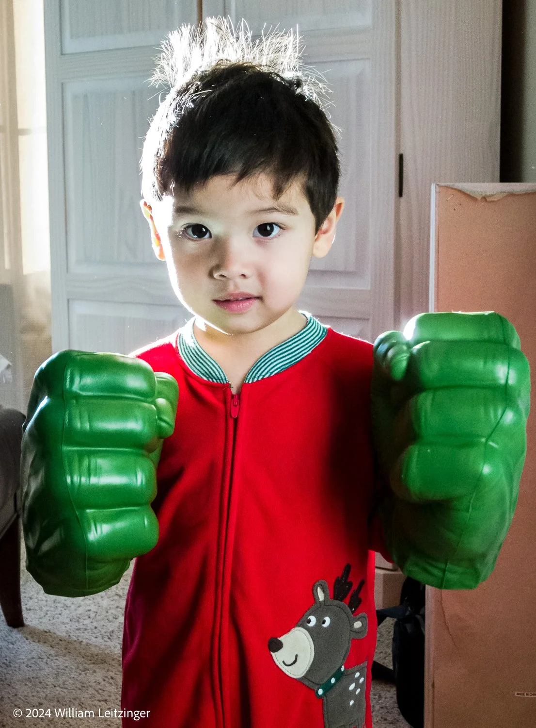 20141226-Family-Portrait-VA-Sterling-Brayden_Jolly_with_Hulk_Hands-2468-(Copyright) copy.jpg