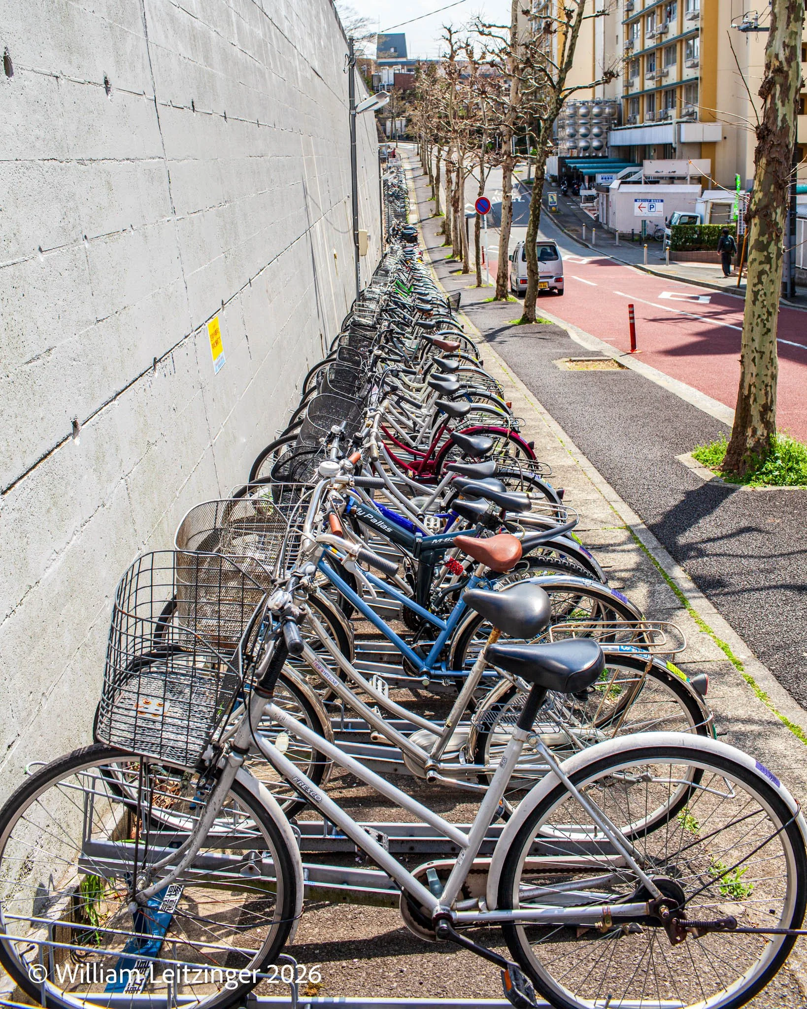 20100409-Urban-Japan-Parked_Bicycles-5006-(Copyright).jpg