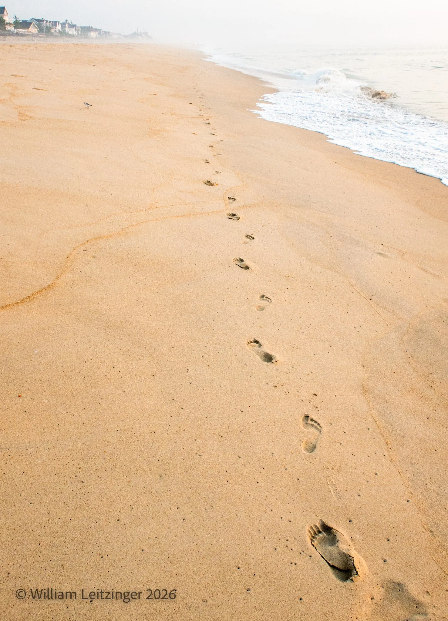20190820-Nature-Travel-Seashore-DE-Bethany_Beach-Footprints_in_the_Sand-4685-(Copyright) copy.jpg