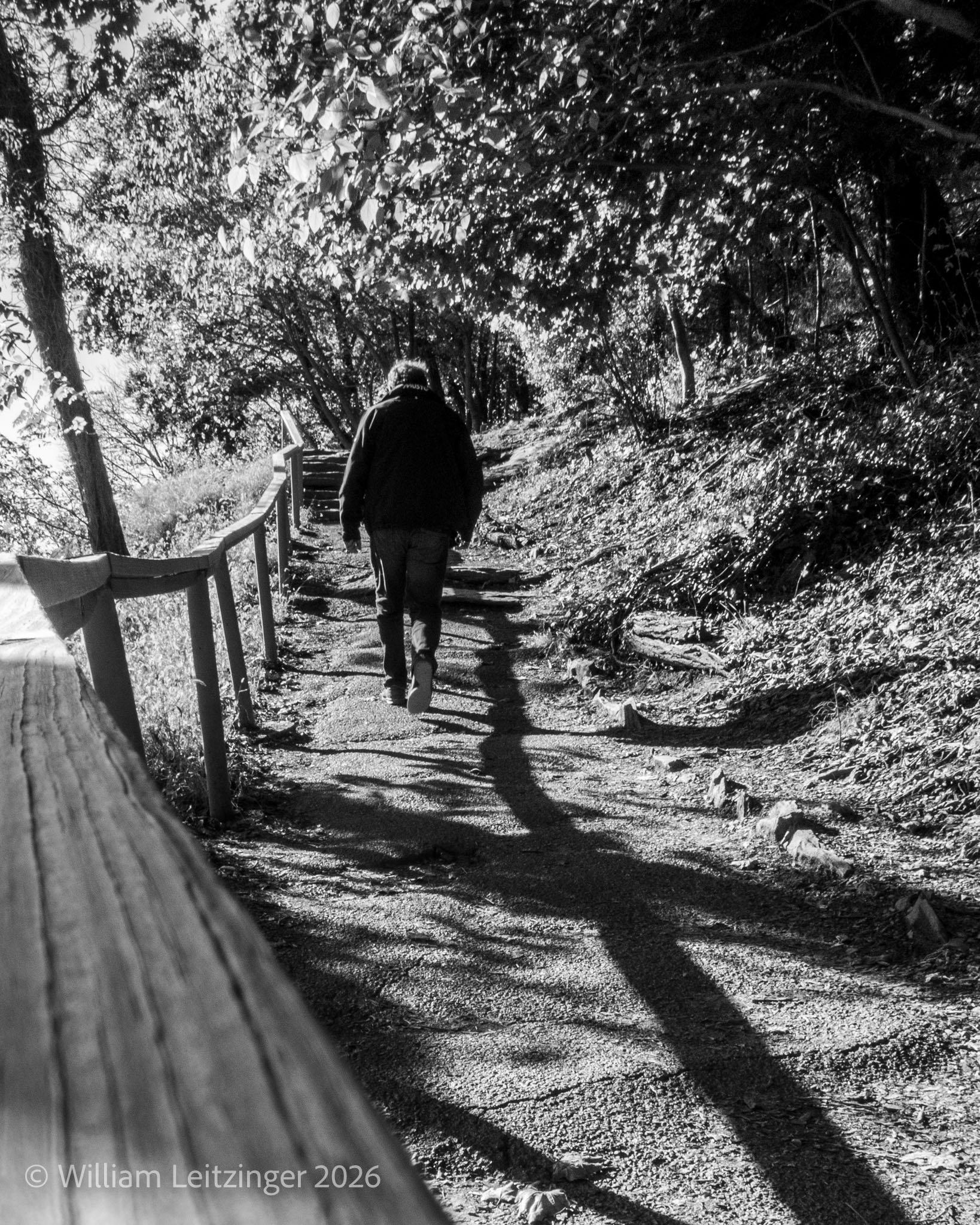 20171031-Hiking-VA-Shenandoah_National_Park-Will_Hiking-B&W_Edit-(Copyright).jpg