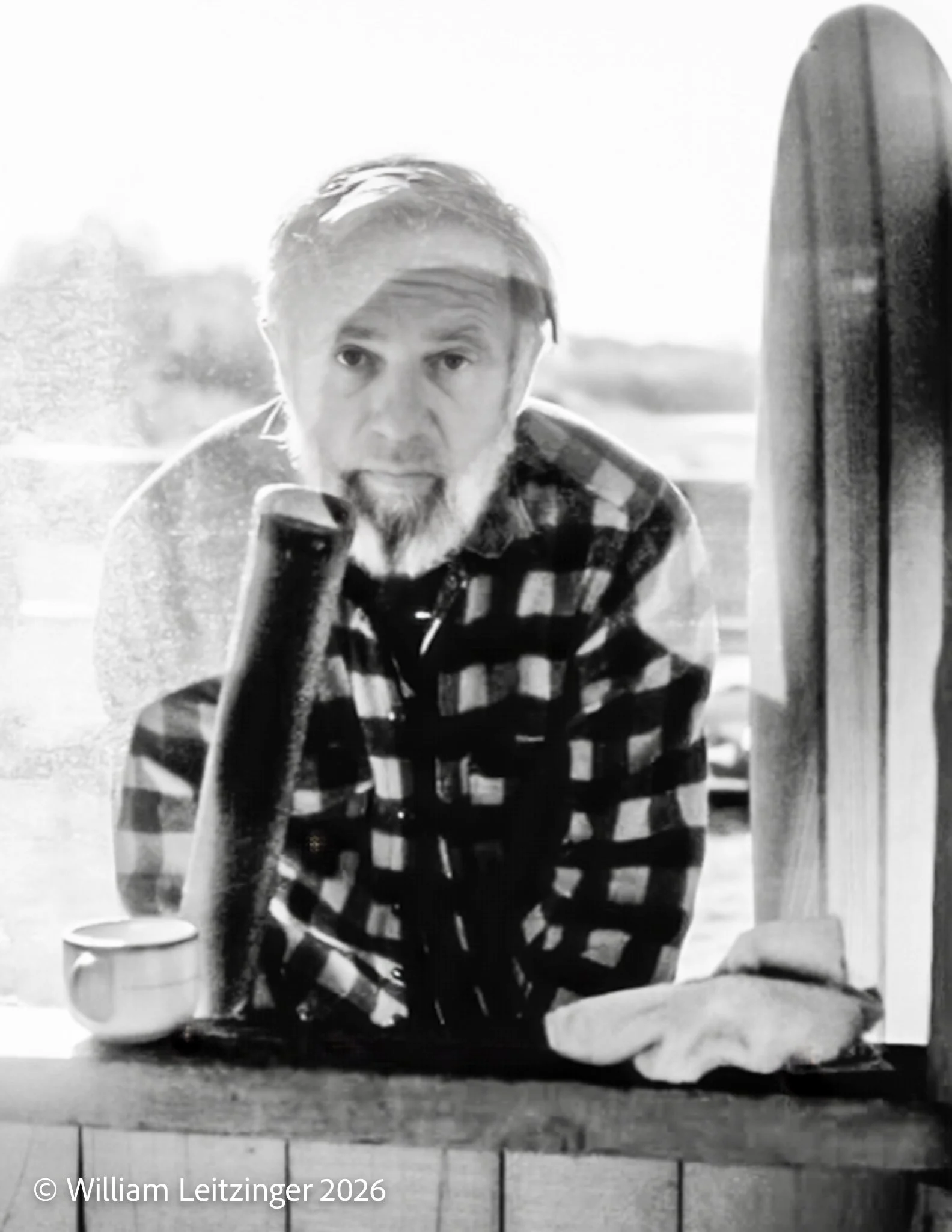 1978-Family-Canada-Renfrew-William_AE_Leitzinger_Looking_Thru_Screen-1-B&W-Photo_Enhancement-Cropped_8.5x11-(Copyright).jpg
