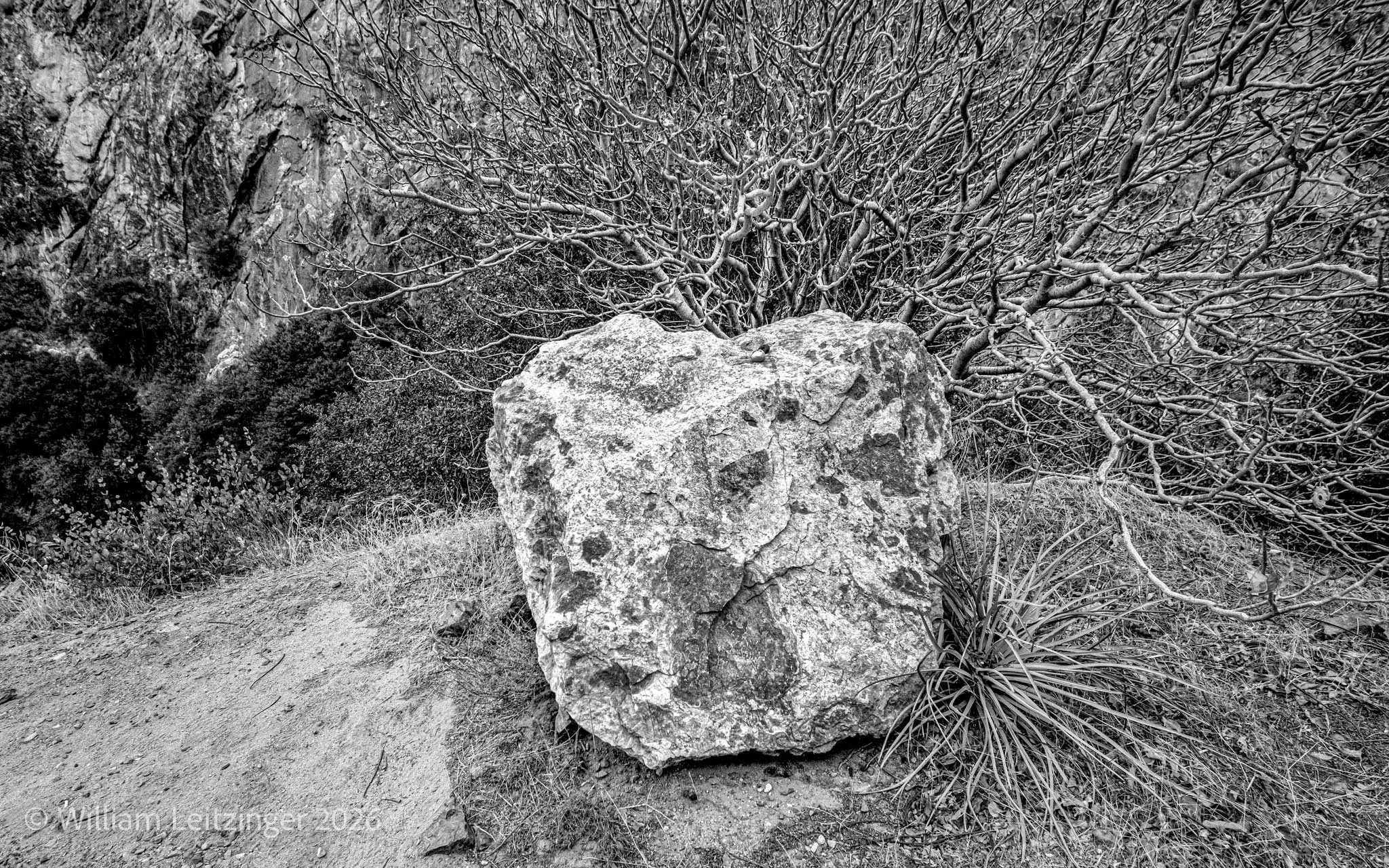 20241013-Nature-CA-Kings_Canyon_National_Park-Big_Rock-B&W_Edit-4-Cropped_16x10-(Copyright).jpg