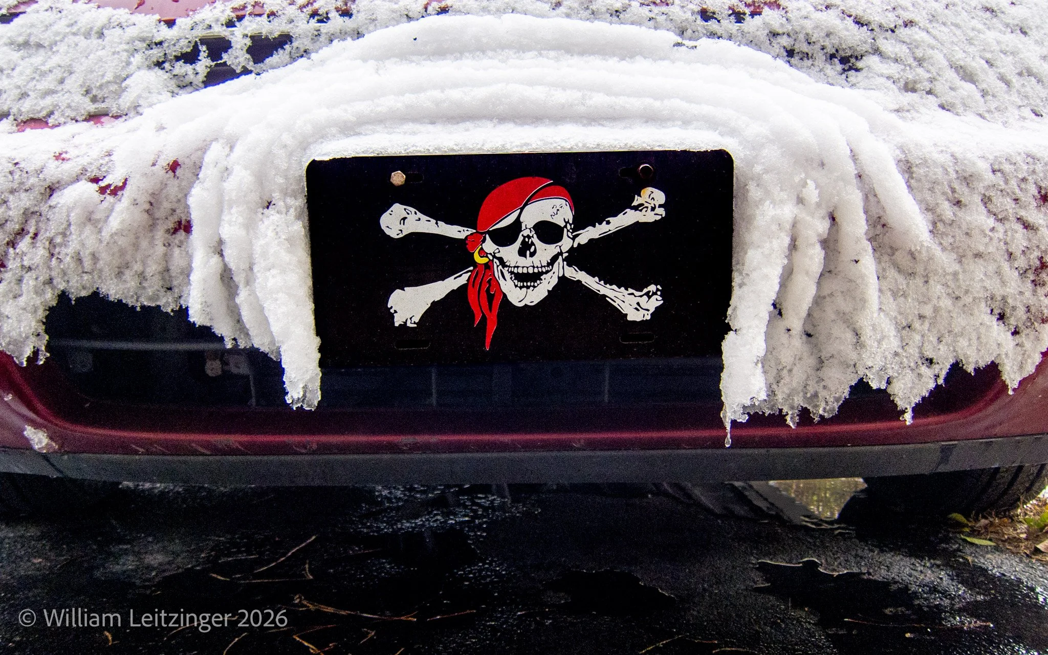 20121229-Abstract-DE-Middletown-Pirate_License_Plate_on_Honda_Accord-0063-(Copyright).jpg