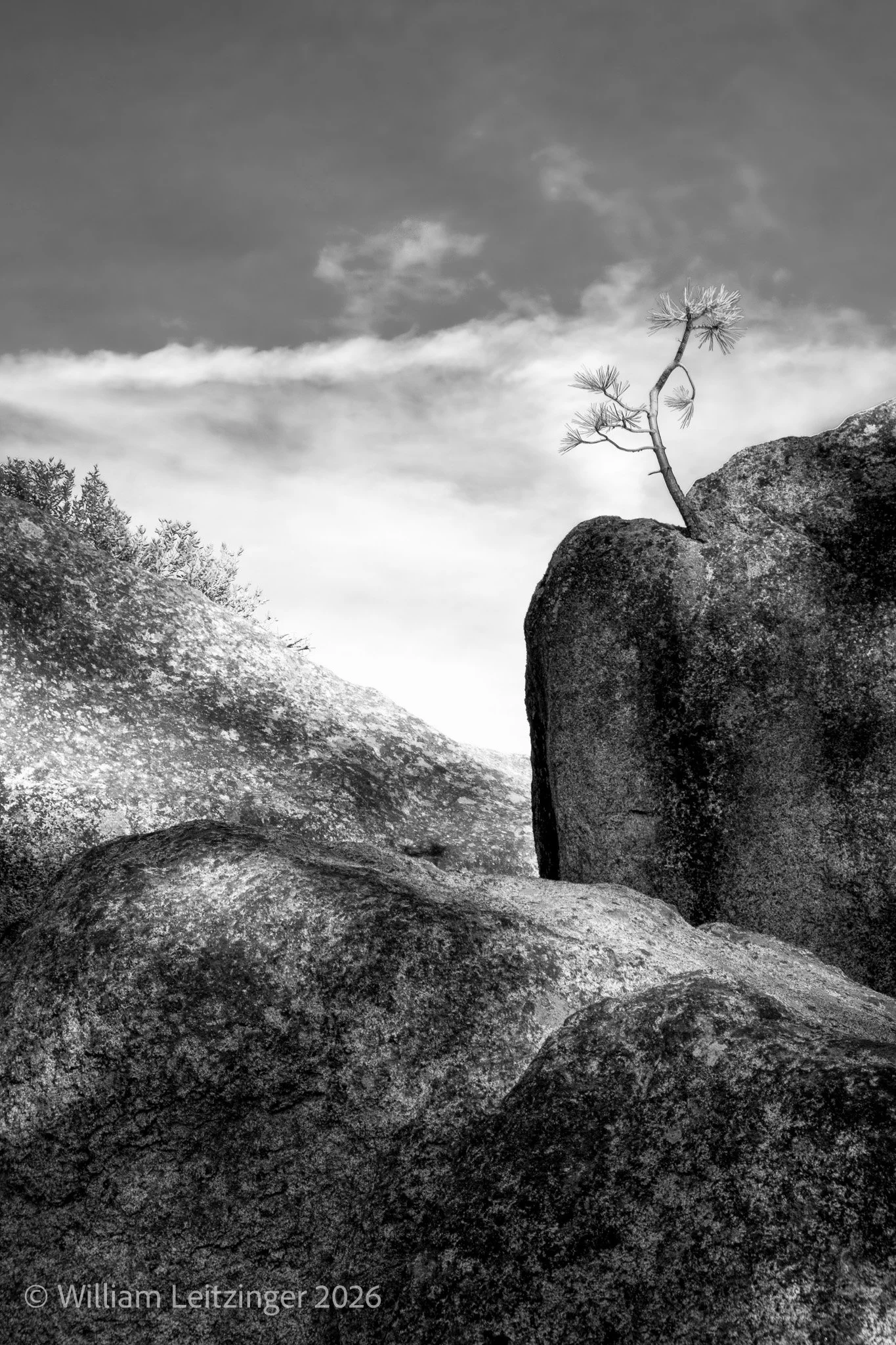 20241009-Landscape-CA-Yosemite_National_Park-Glacier_Point-63-(Copyright).jpg
