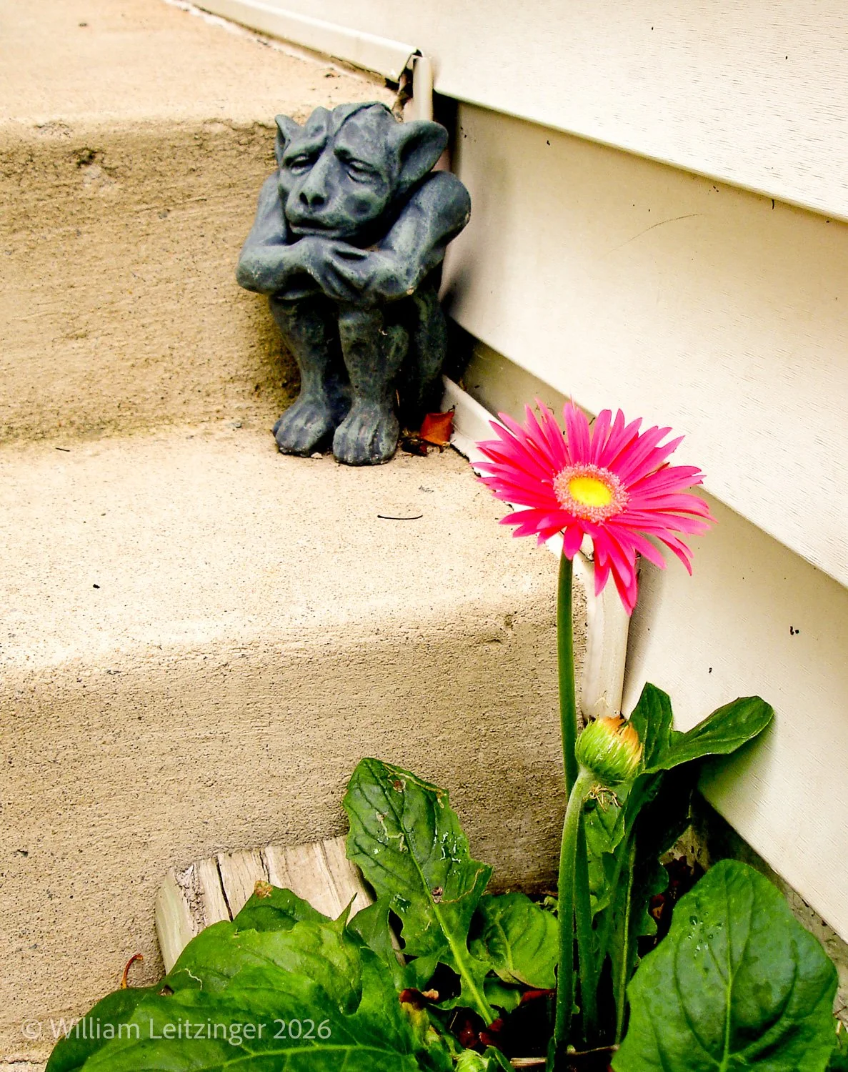 20070923-Family-VA-Herndon-Griffin_&_Flower(Copyright).jpg