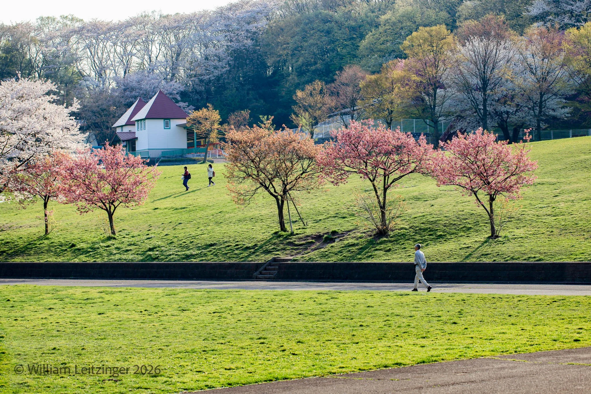 20100408-Japan-Sekizawa_Walking_in_Park-01-(Copyright).jpg