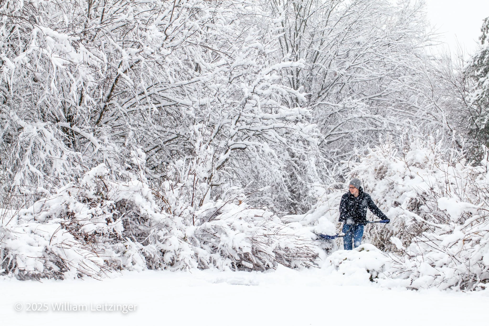 20180321-Snowstorm-DE-Middletown-Will_Leitzinger_Shoveling_Snow-01-(Copyright).jpg
