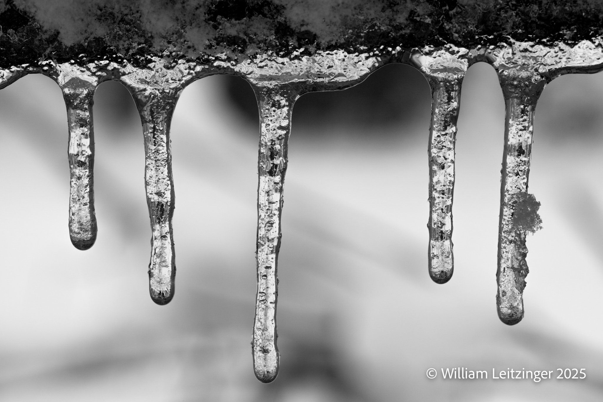 20180321-Nature-DE-Middletown-Icicles_Closeup-01-(Copyright).jpg