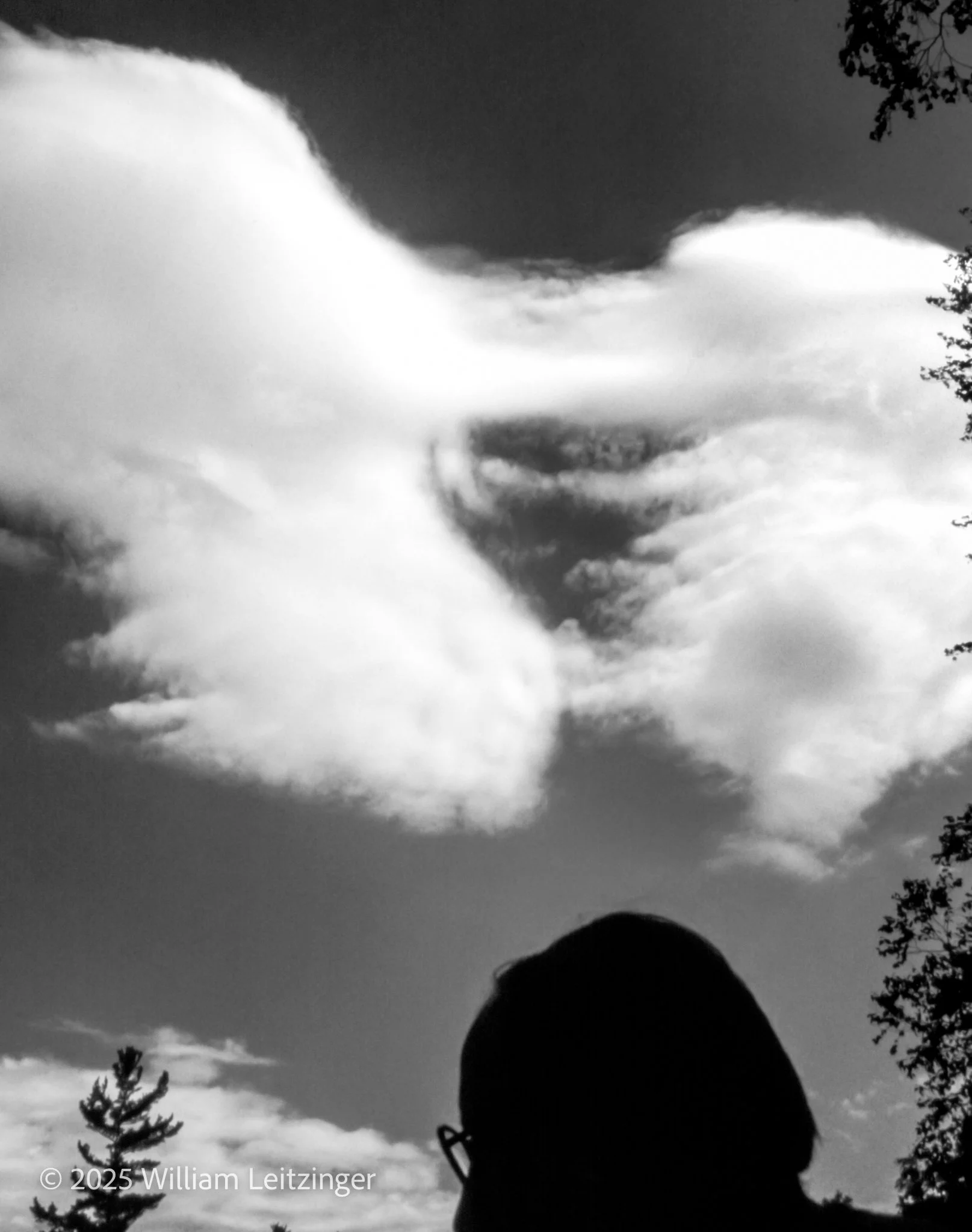 Blue Sky + Silouhette-Edit-(Copyright).jpg