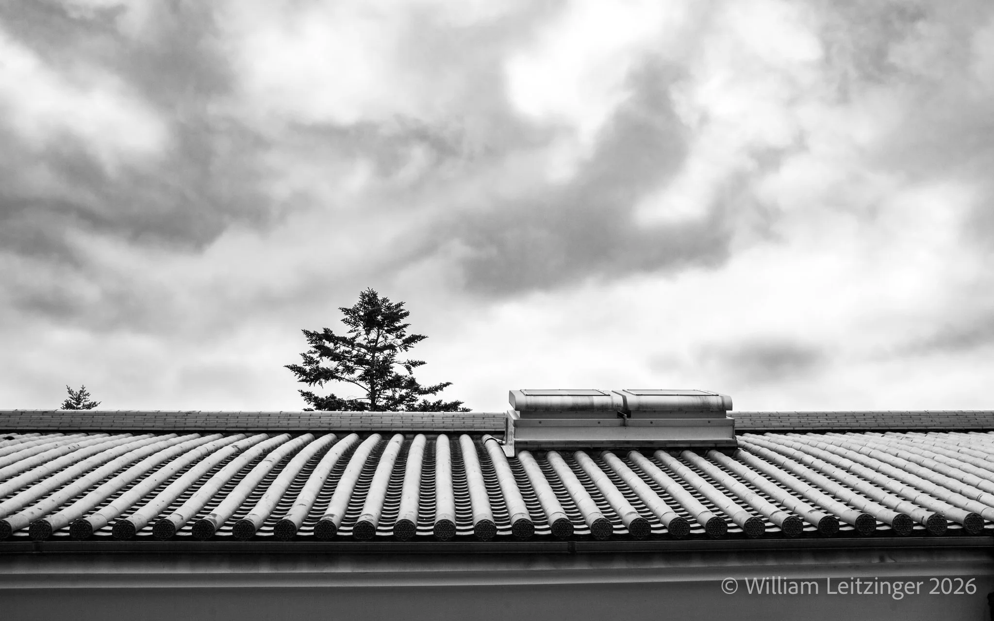 20100413-Travel-Japan-Temple_Roof_&_Tree-01-B&W-Edit_16x10-(Copyright).jpg
