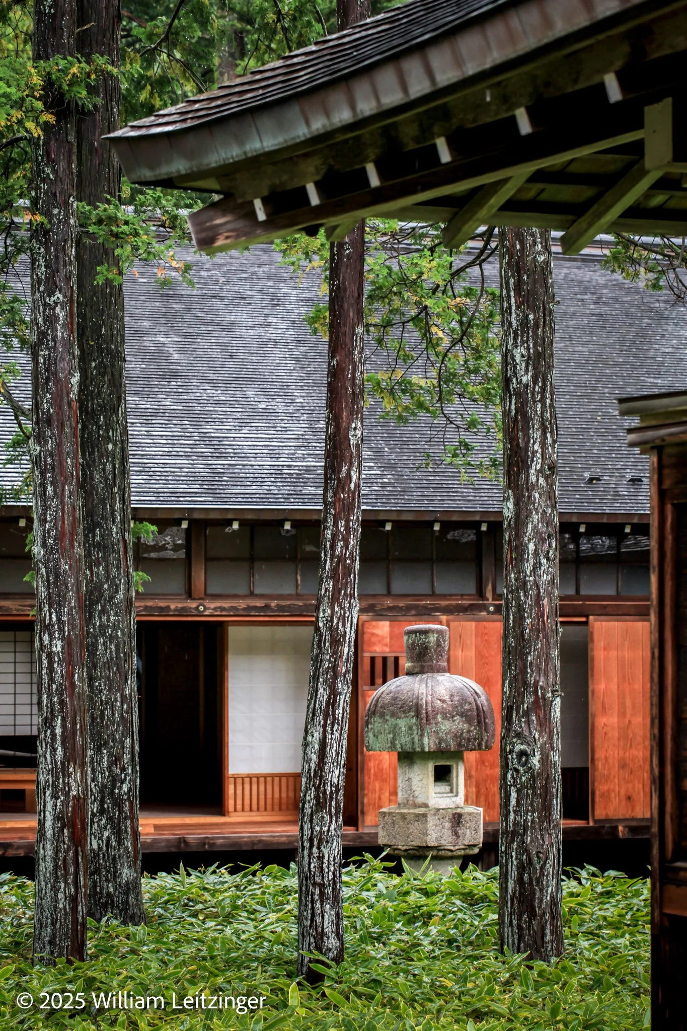 20131019-Landscape-Travel-Japan-Garden_with_Trees_at_Temple-9892-(Copyright) copy.jpg