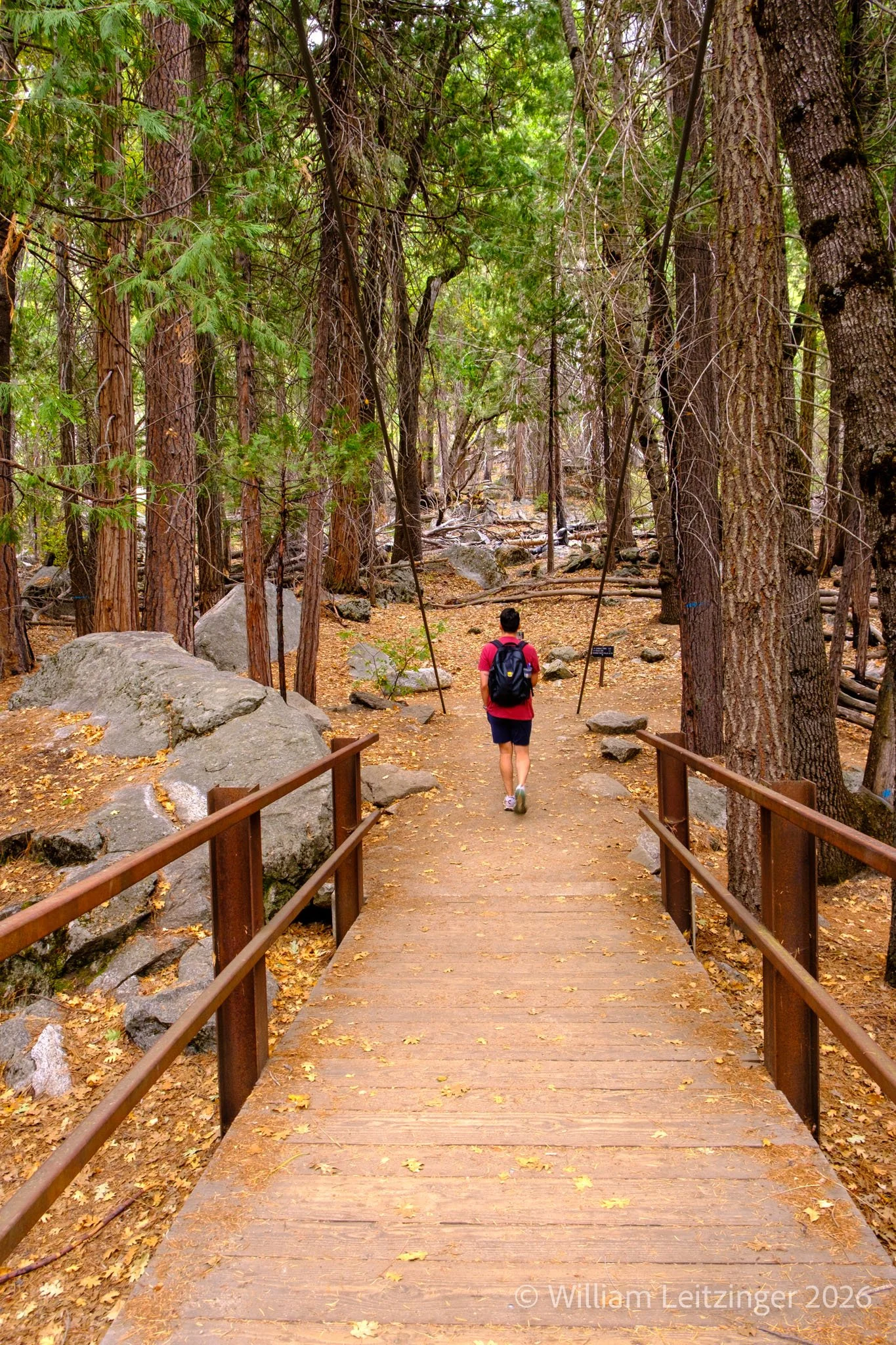 20241007-Travel-Vacation-Nature-Family-CA-Kings_Canyon_National_Park-9199-3-(Copyright).jpg