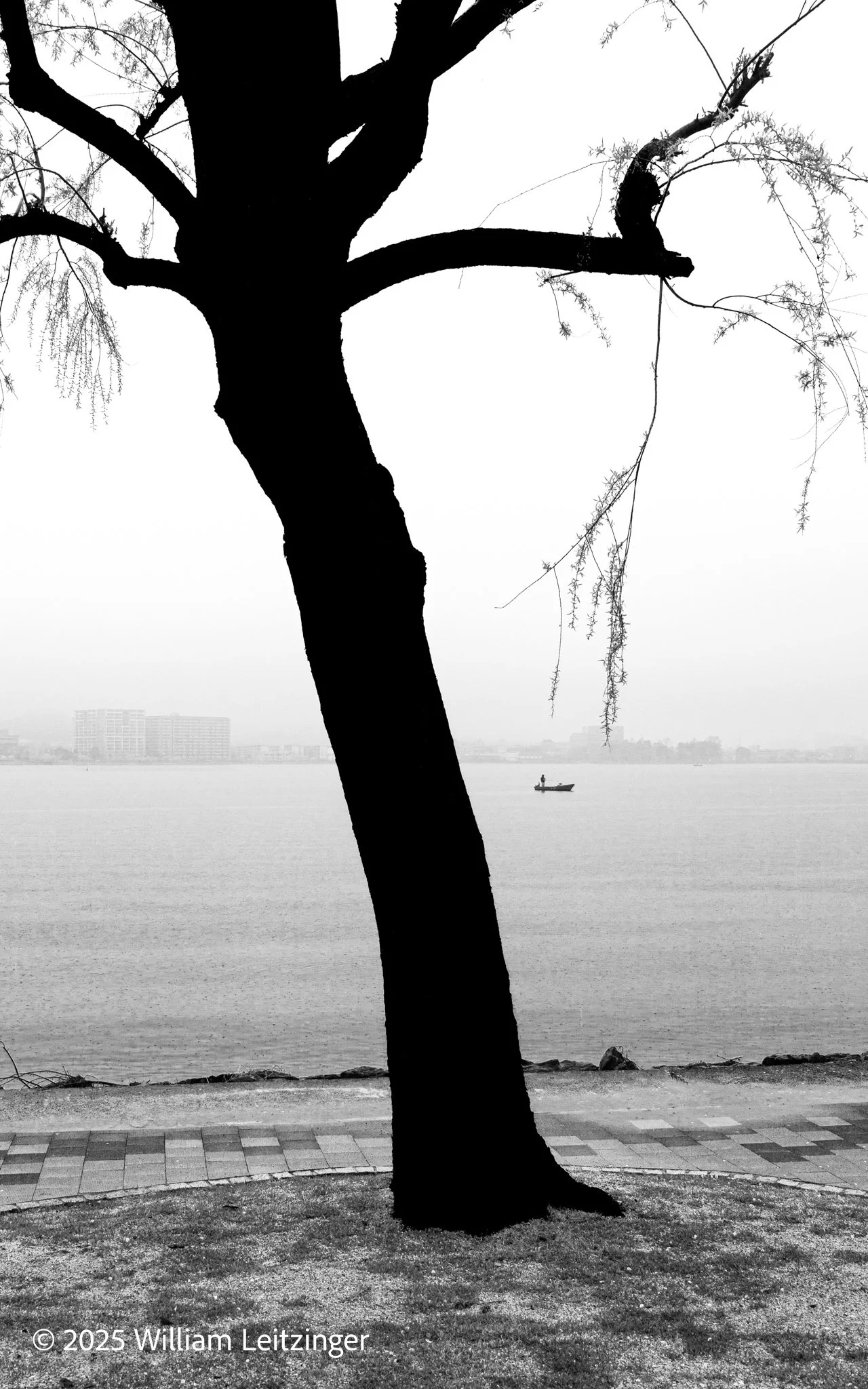 20100411-Landscape-Japan-Nikko-Cherry_Tree_with_Black_Trunk_by_RIver-01-B&W-Cropped-2-(Copyright).jpg