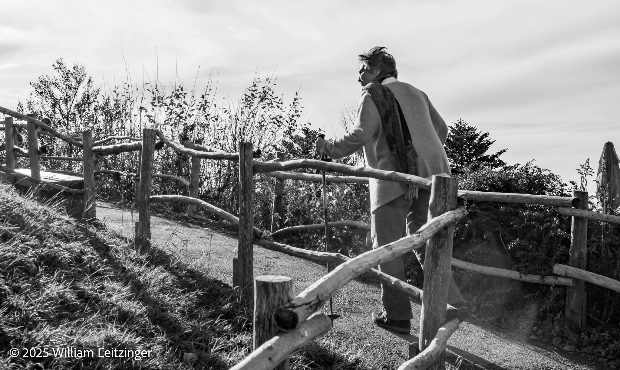 20101109-Travel-Landscape-Austria-Bregenz-Mama_Koenig_Walking_Up_Path_to_Pfander-4807-B&W-Cropped_8x11-(Copyright).jpg