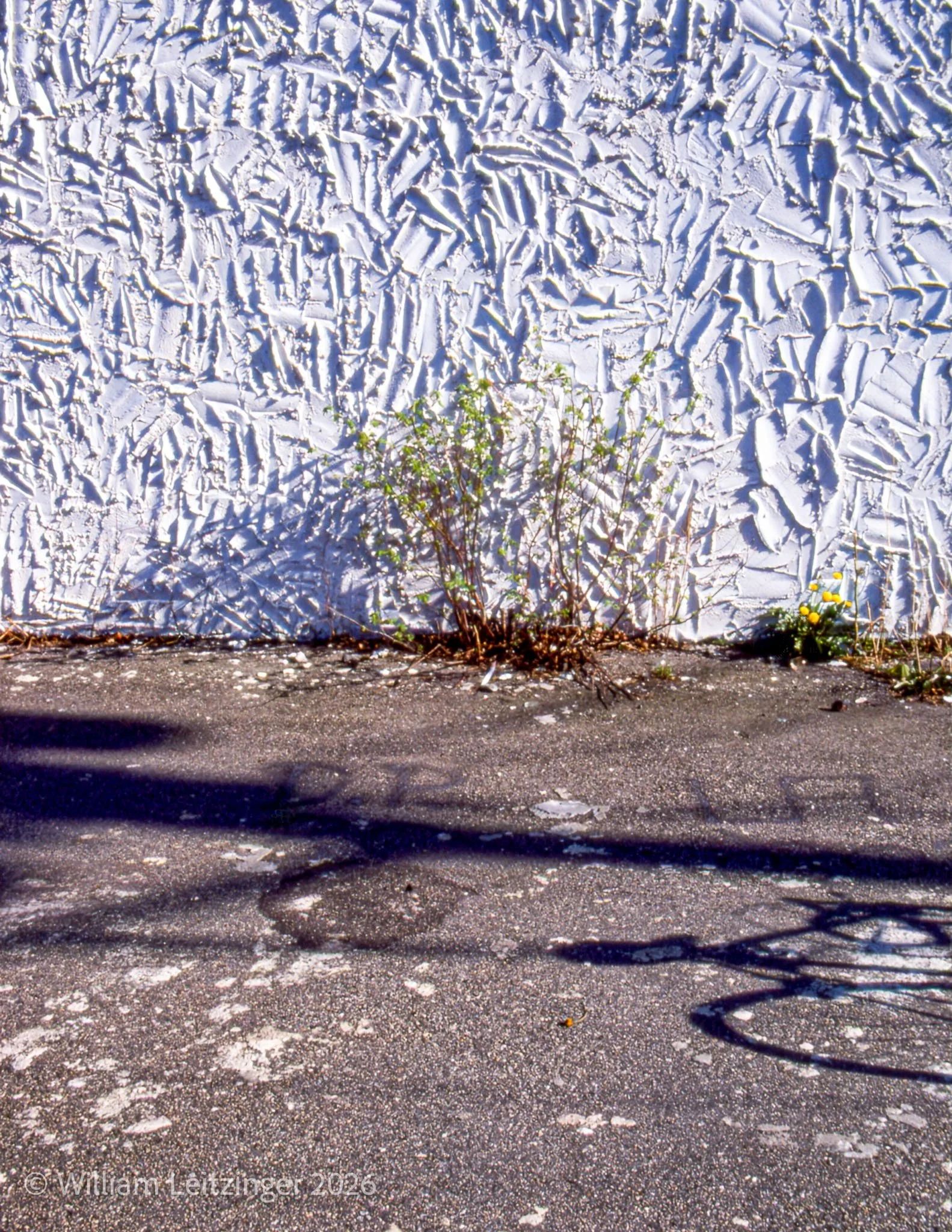 1980-Urban-RI-Providence-Bike_Shadow_&_White_Wall-01-(Copyright).jpg