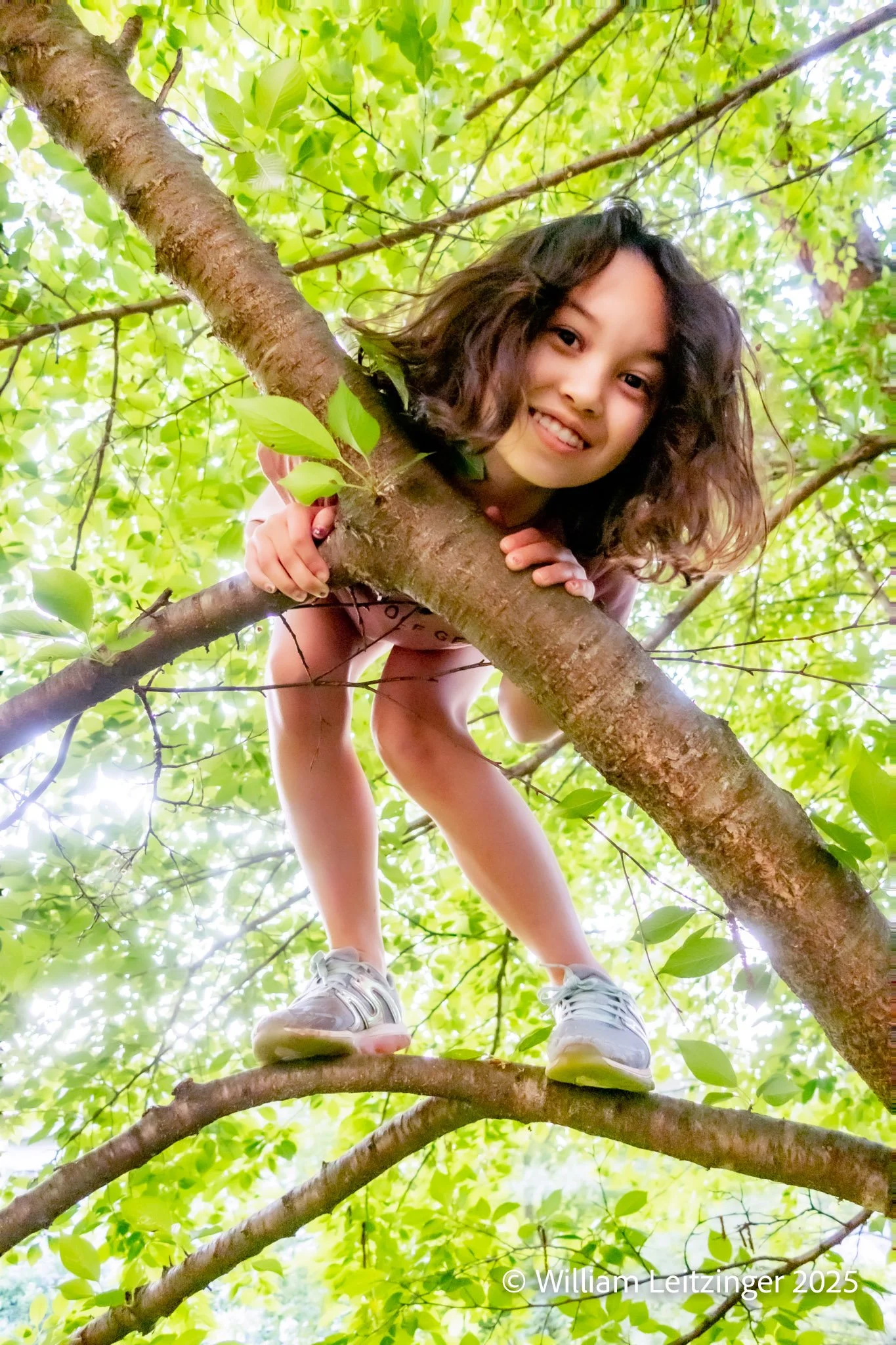 20230515-Family-VA-Herndon-Rebecca_Gehring_Smiling_in_a_Tree-02-Final-(Copyright).jpg