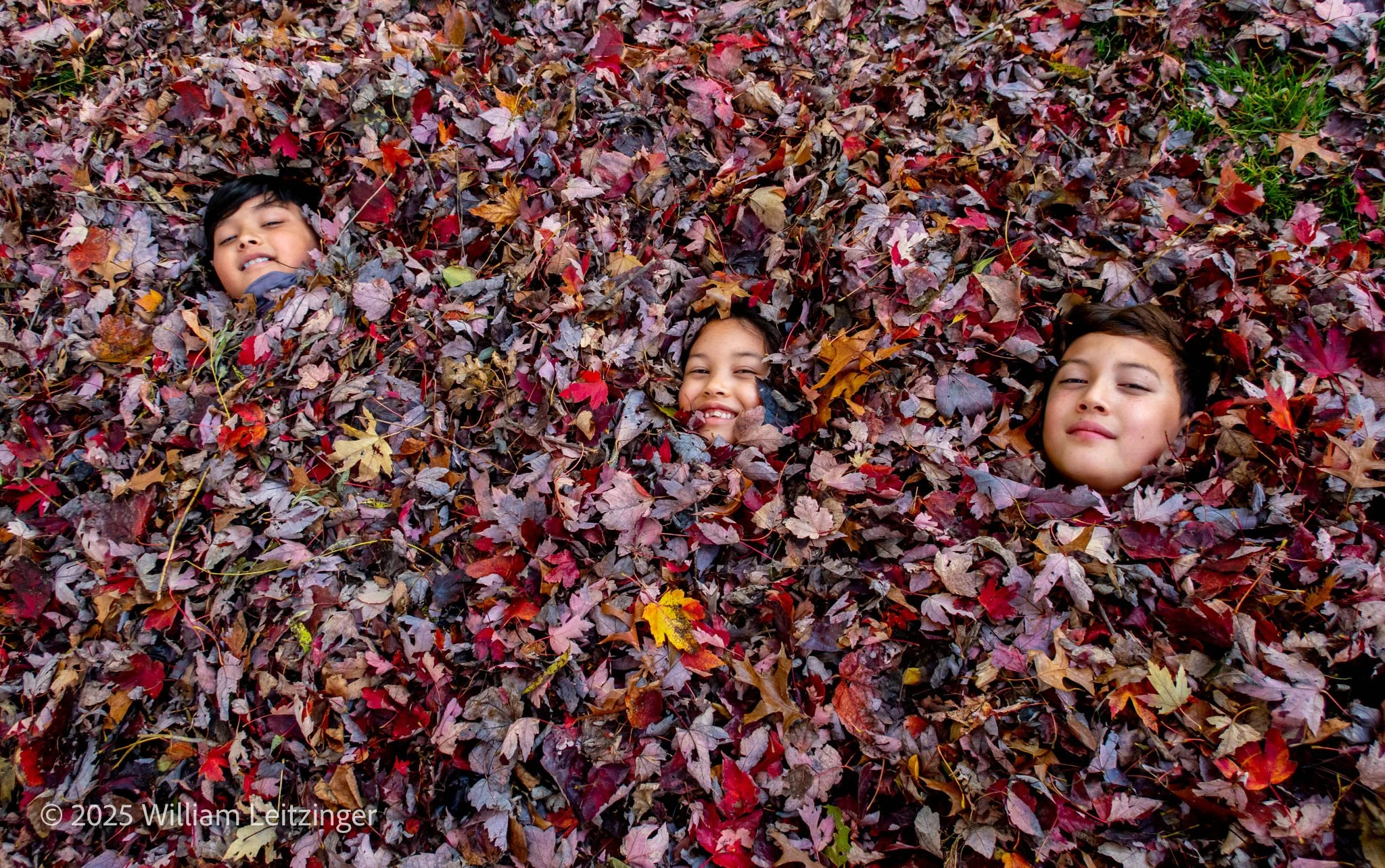 20211106-IMG_6878-Edit-(Copyright).jpg