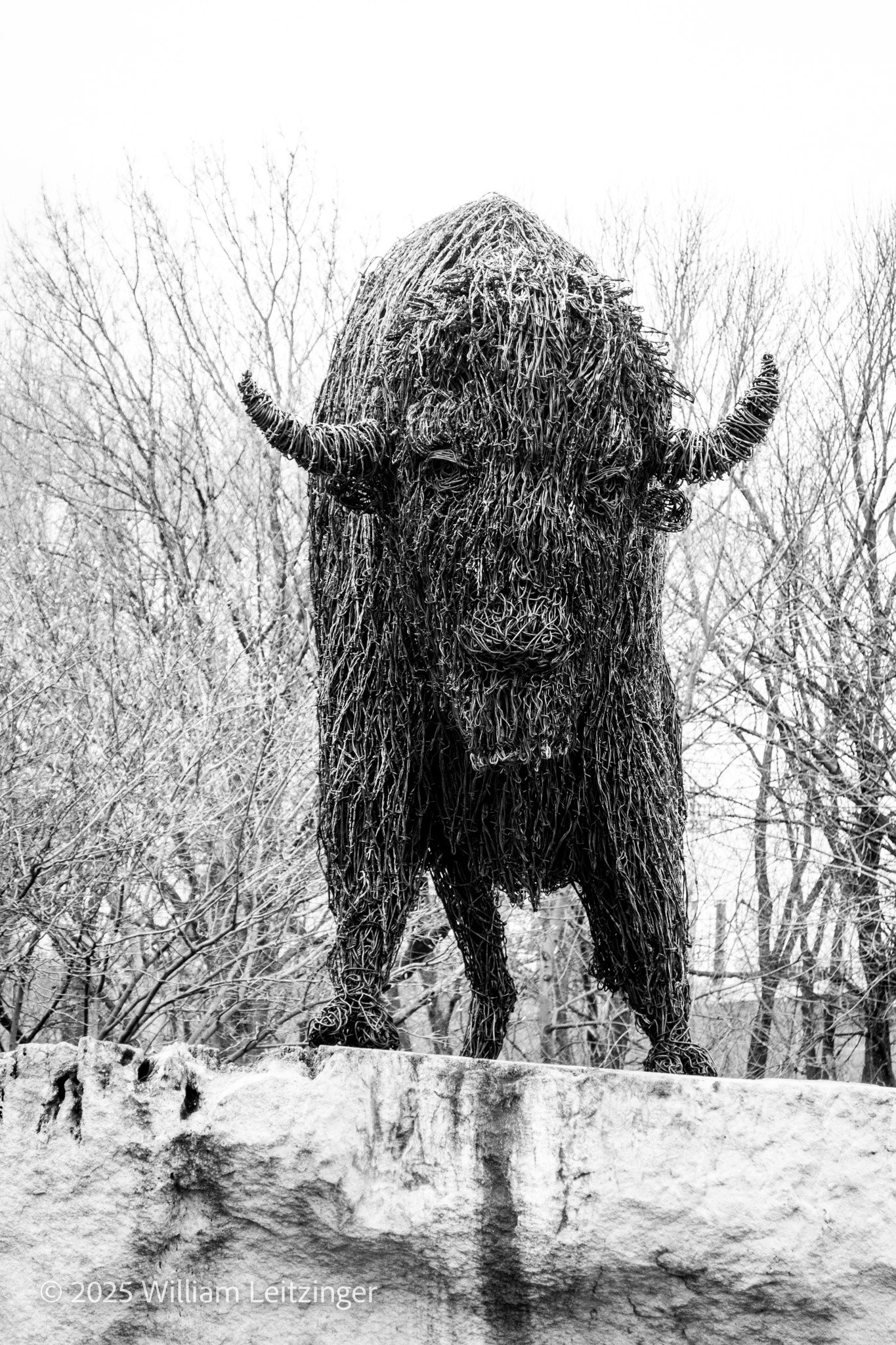 20170327-Urban-IN-Indianapolis-Bison_Sculpture-0
