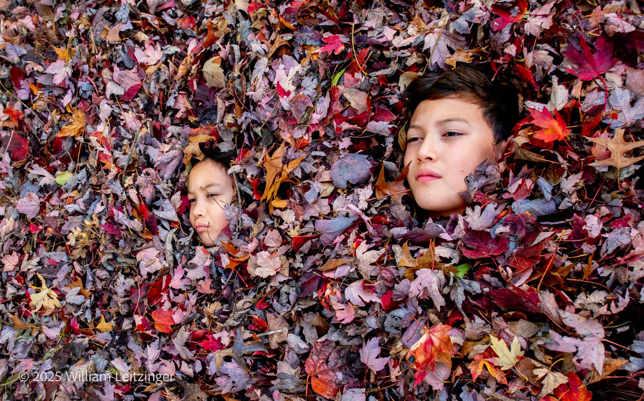 20211106-Portrait-VA-Herndon-Rebecca_&_Kenneth_Gehring_Faces_in_the_Leaves-01-Final-(Copyright).jpg