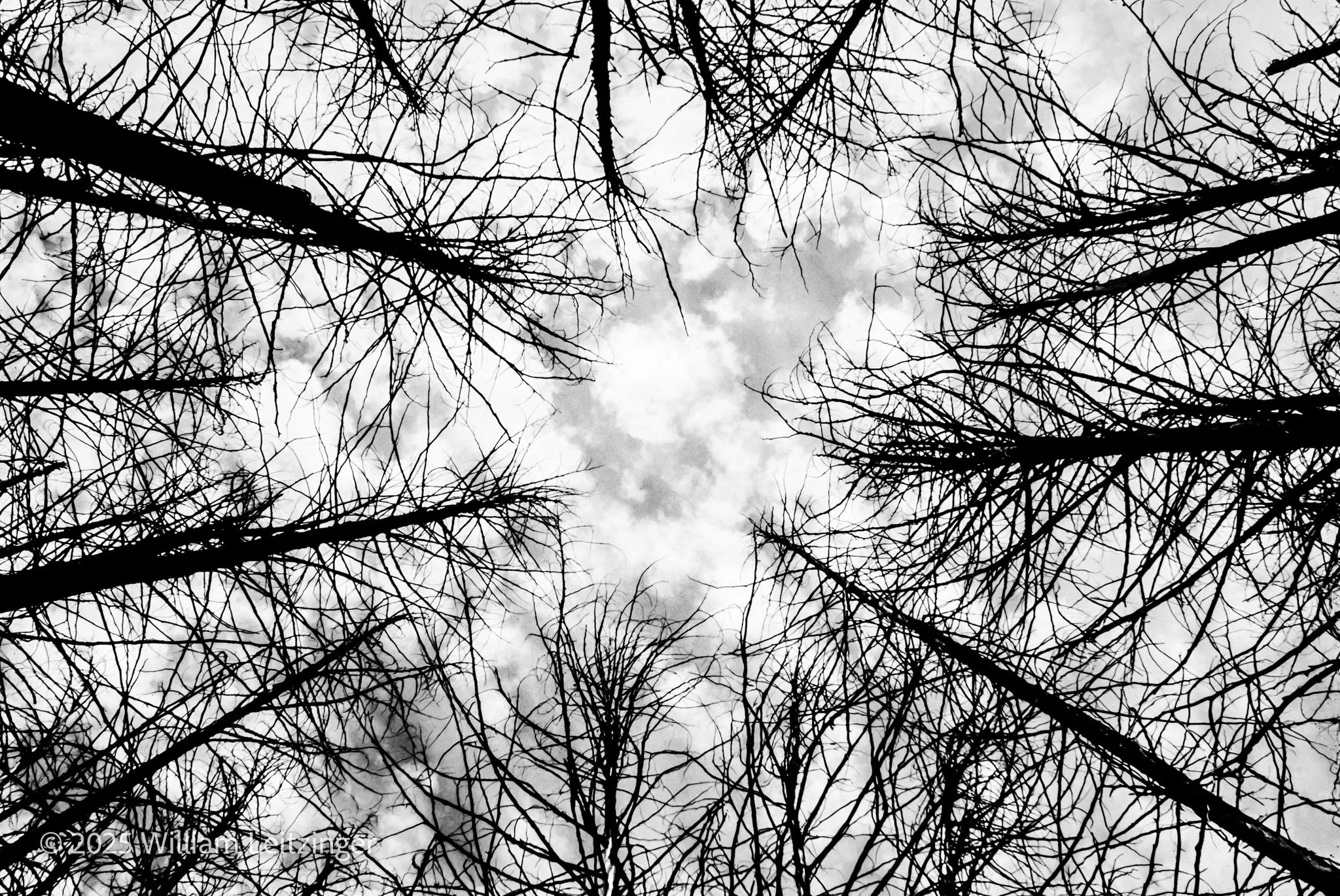 1970's-Canada-Renfrew-Tree_Tops_Circle-01-B&W-(Copyright).jpg
