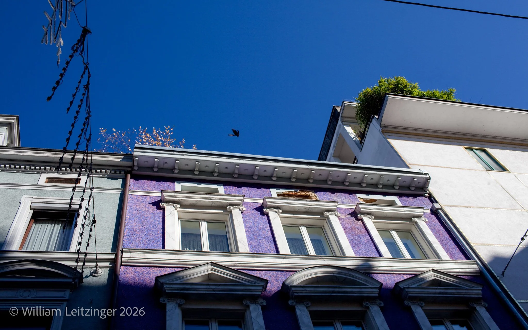 20101109-Travel-Urban-Austria-Bregenz-Purple_House_&_Blue_Sky-01-(Copyright).jpg