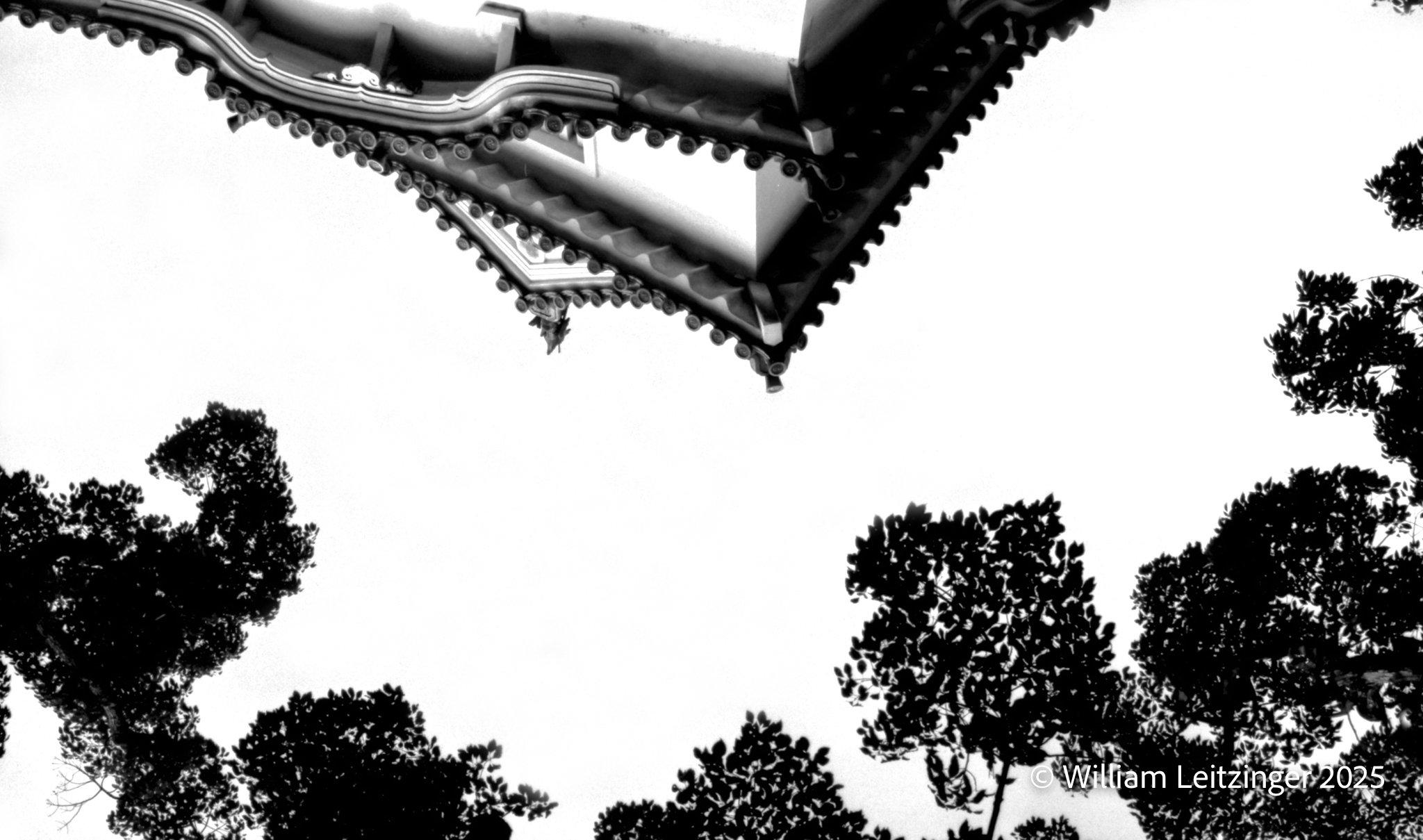 2005-Travel-Abstract-Japan-Tree_&_Castle_Wall-01-B&W-(Copyright).jpg