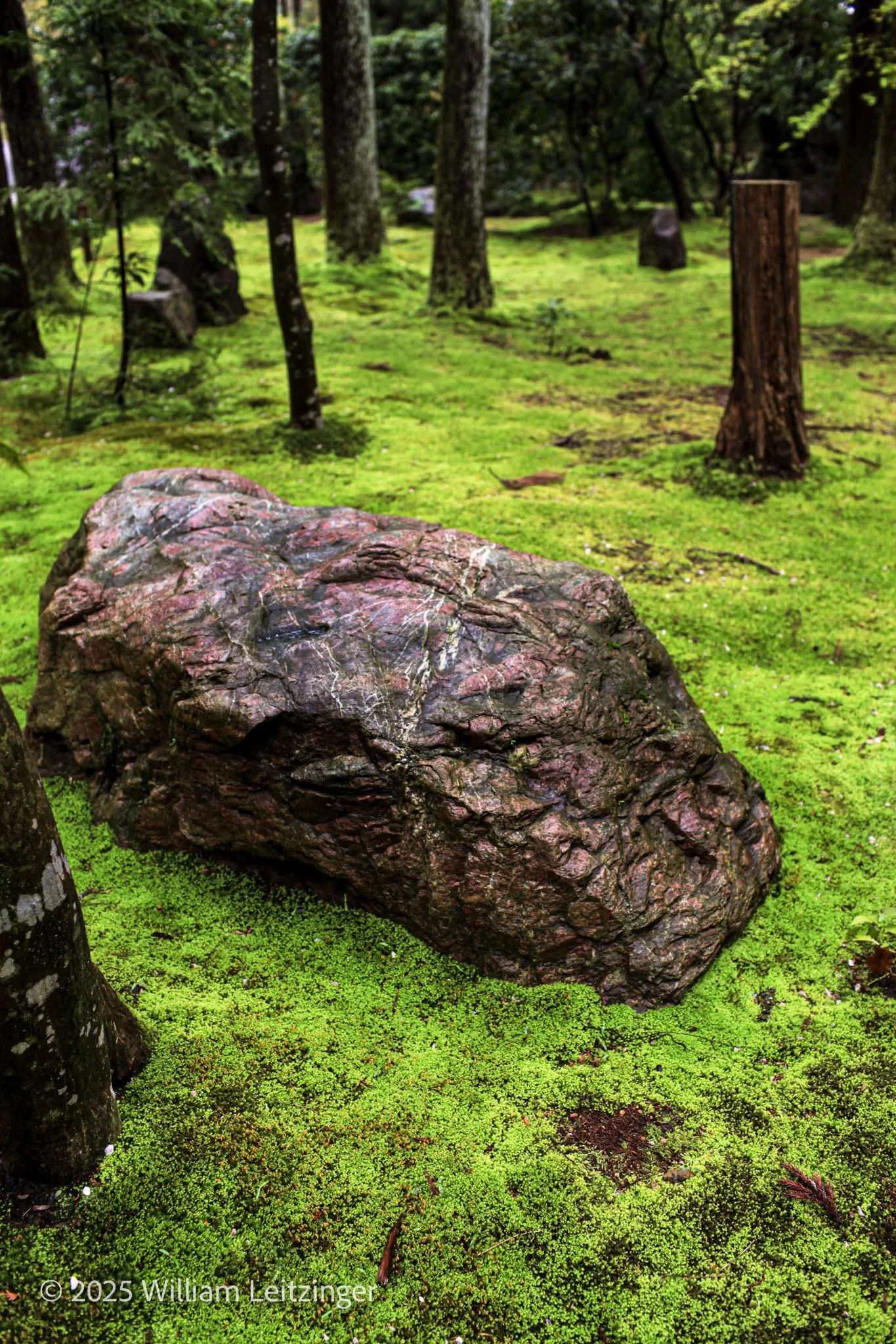 20100412-Nature-Japan-Boulder_on_Bed_of_Moss-(Copyright).jpg