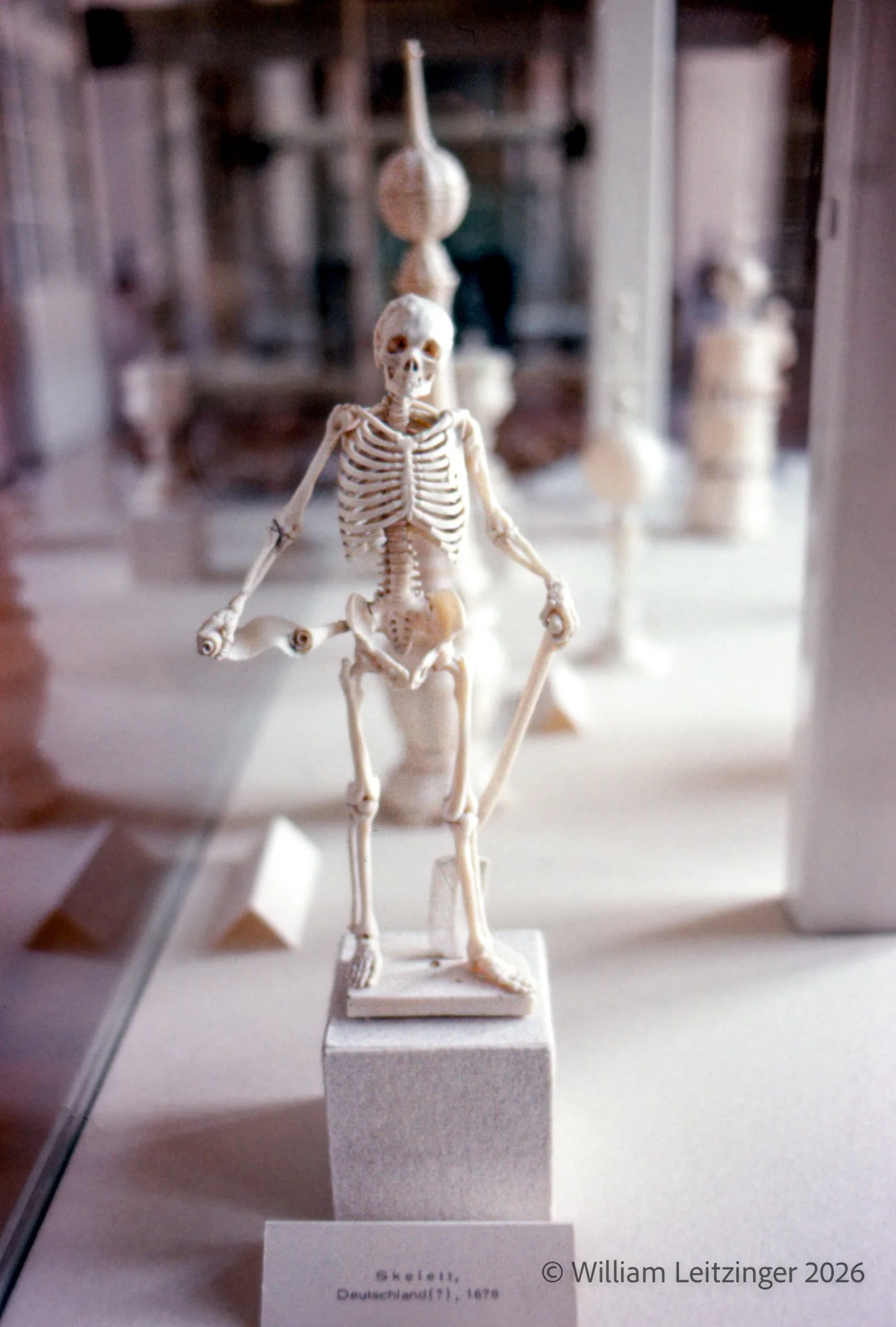 1977-Statue-Austria-Skeleton_Small_Statue_in_Museum-01-(Copyright).jpg