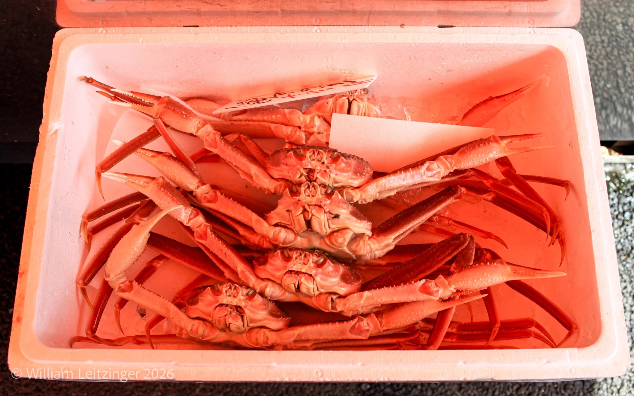 20100410-Travel-Japan-Yokohama-Crabs_in_Cooler-01-Cropped_16x10-(Copyright).jpg