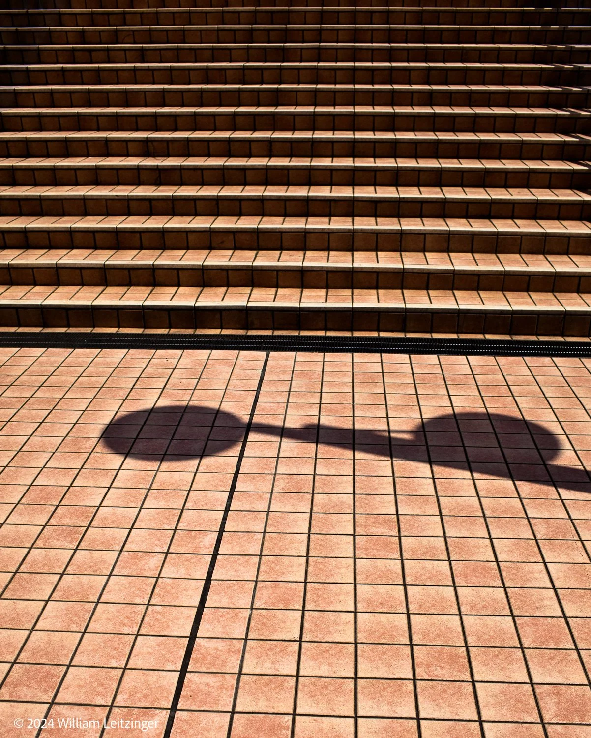 20100409-Japan-Tile_Steps_High_Contrast-Final_Edit-(Copyright) copy.jpg